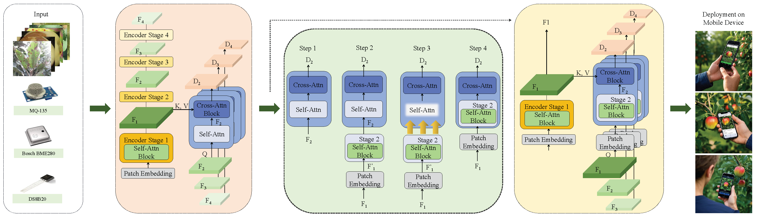 Agronomy 15 01246 g010