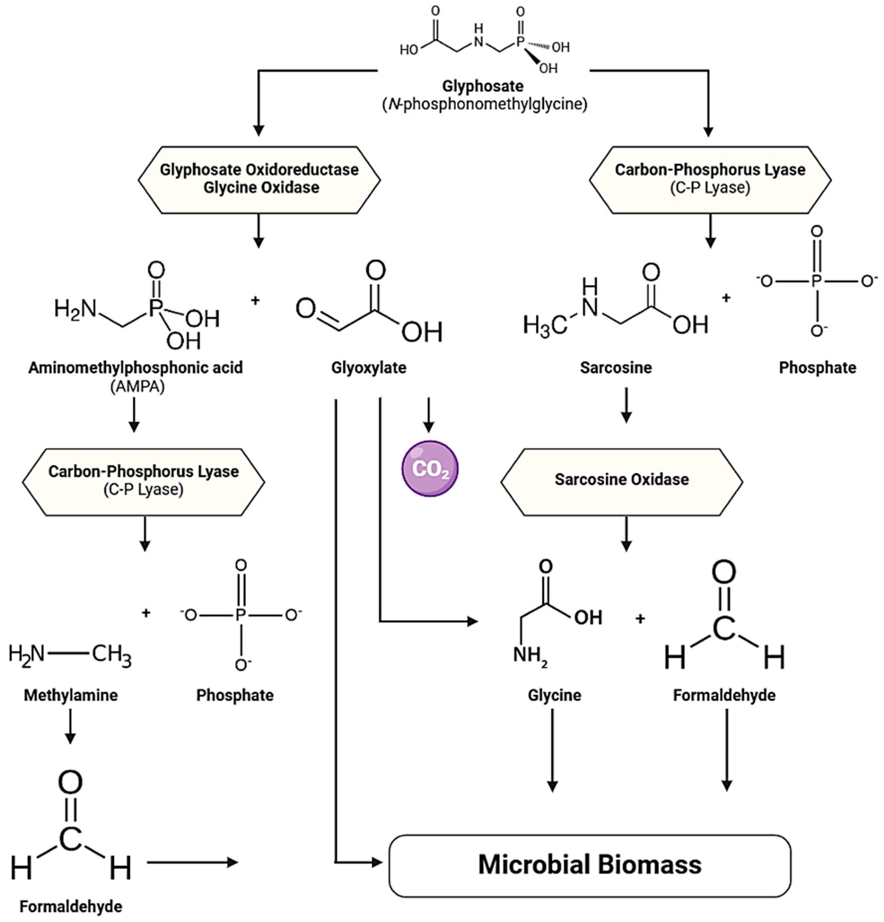 Agronomy 15 01247 g005