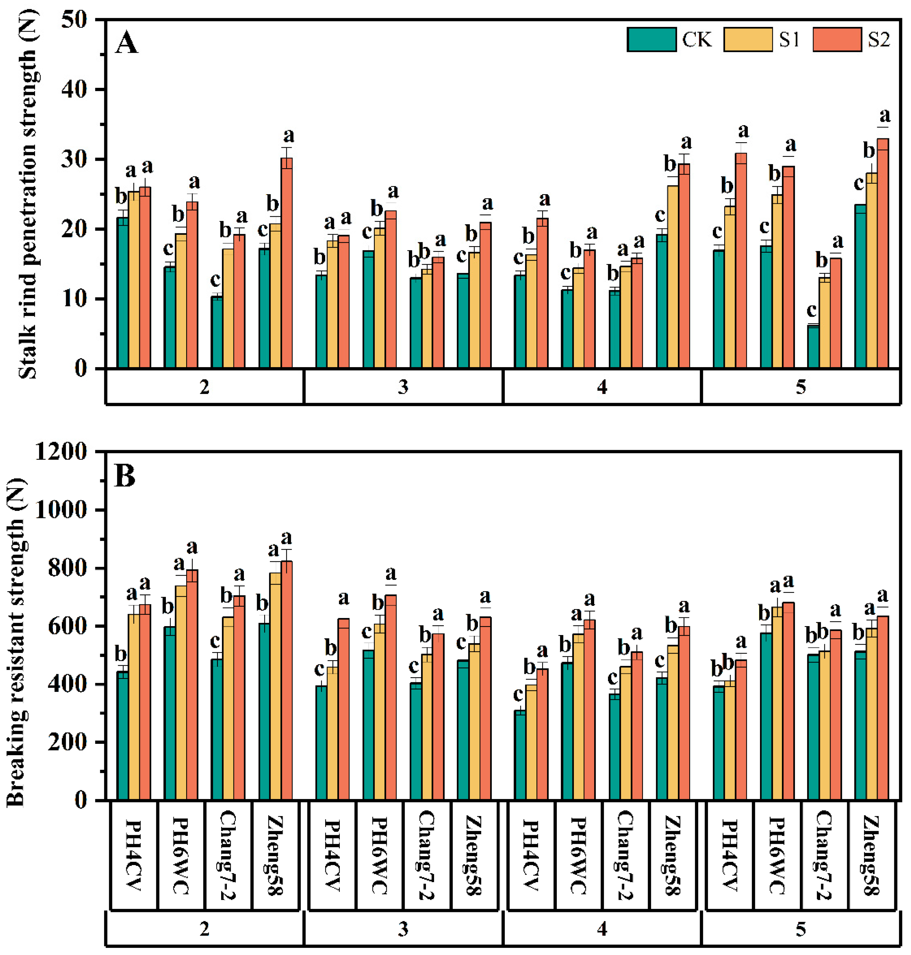 Agronomy 15 01248 g006