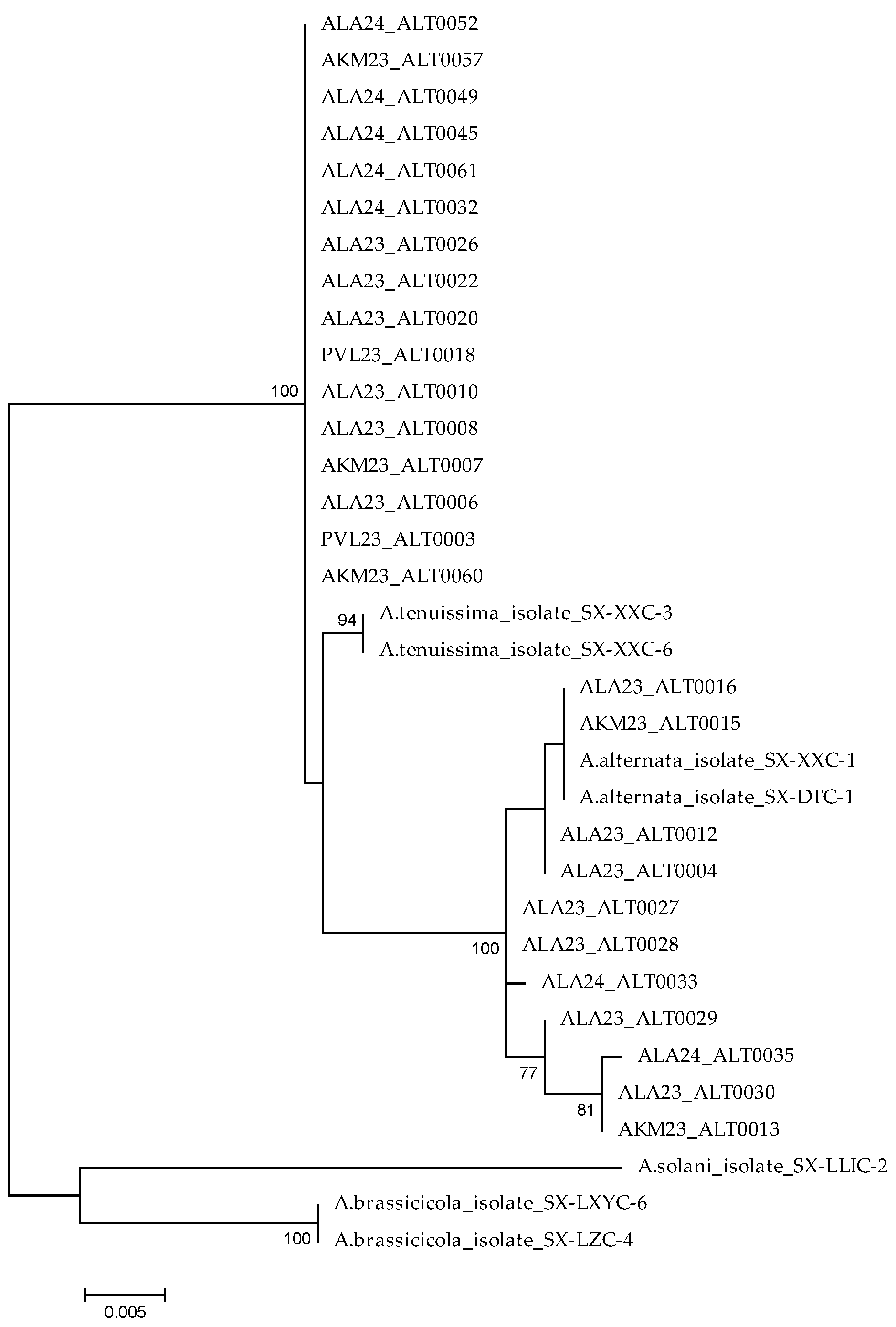 Agronomy 15 01251 g004