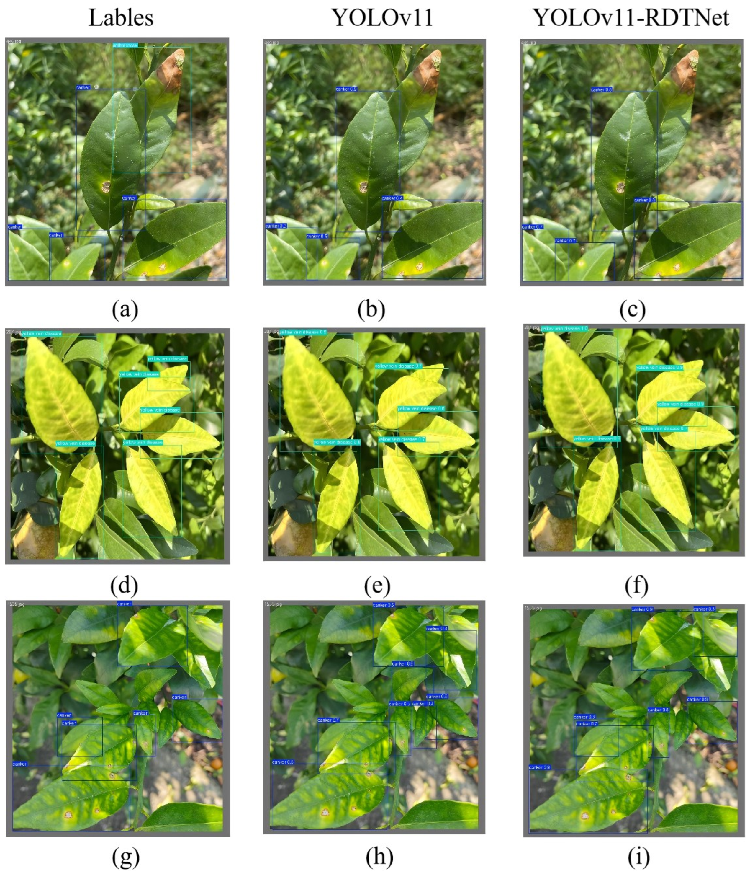 Agronomy 15 01252 g010