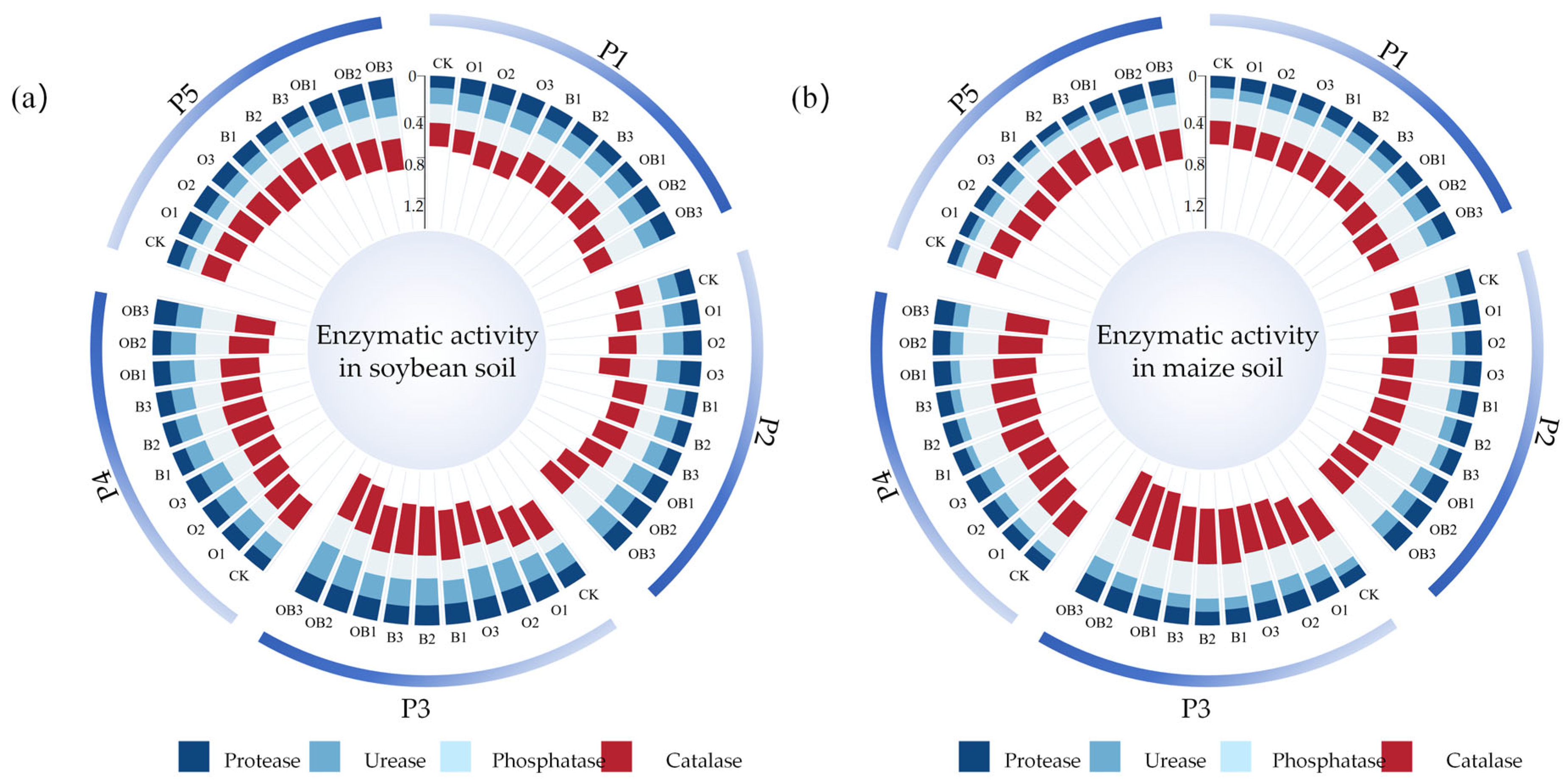 Agronomy 15 01256 g006
