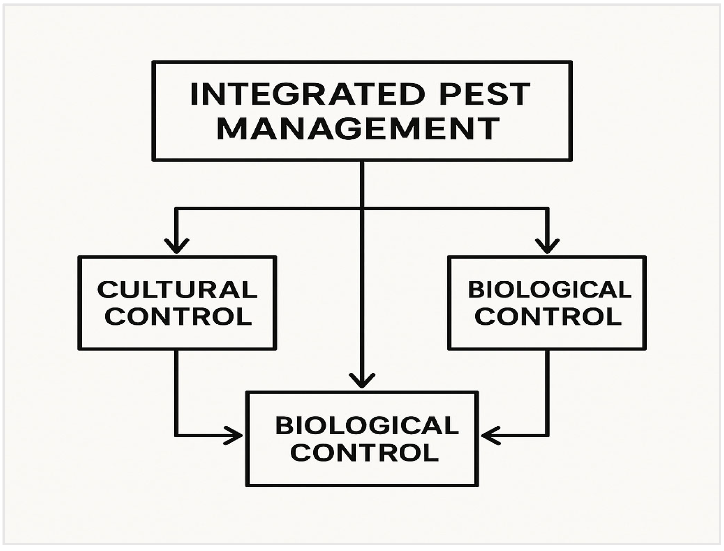 Agronomy 15 01260 g002