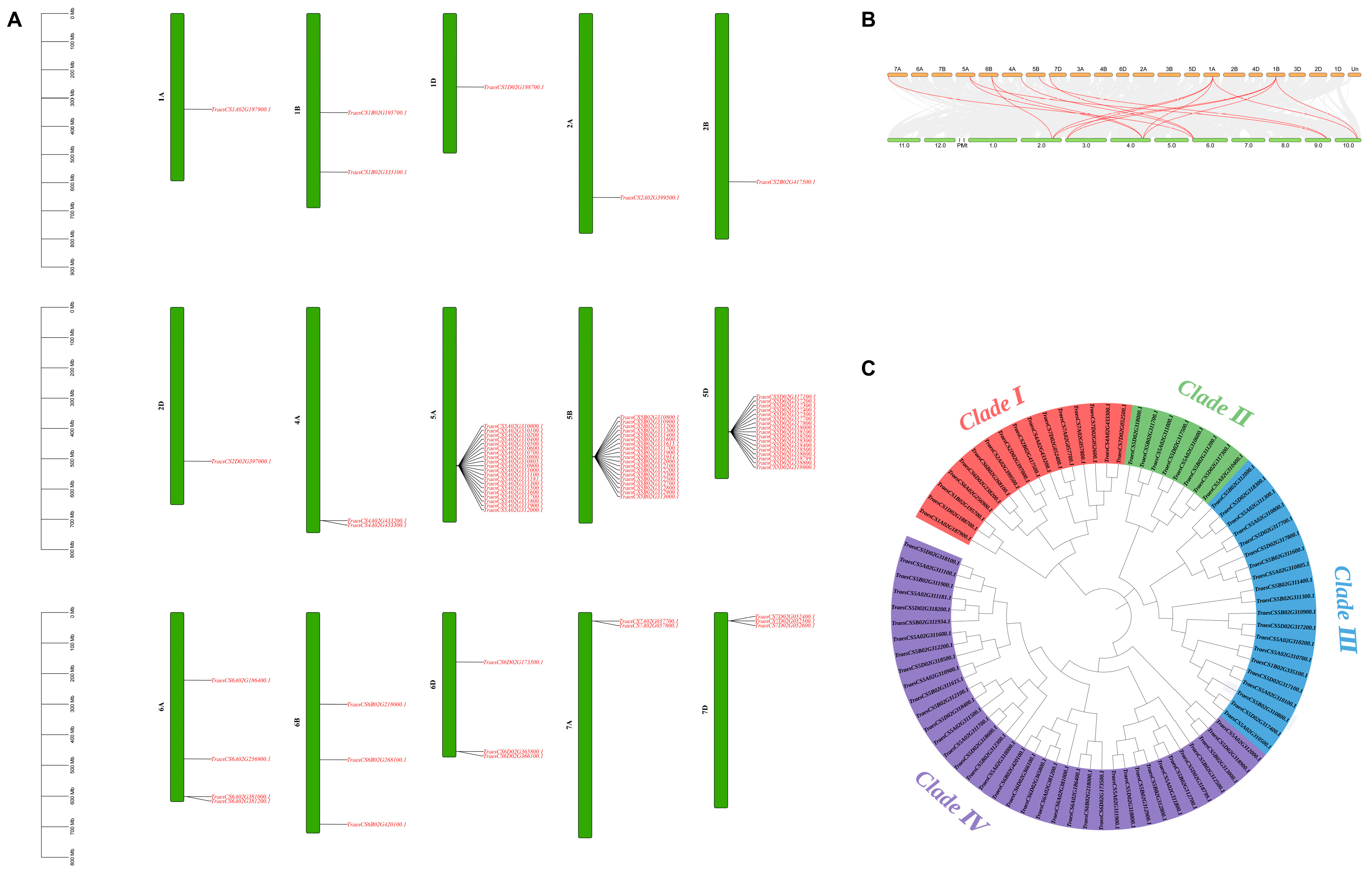 Agronomy 15 01265 g001