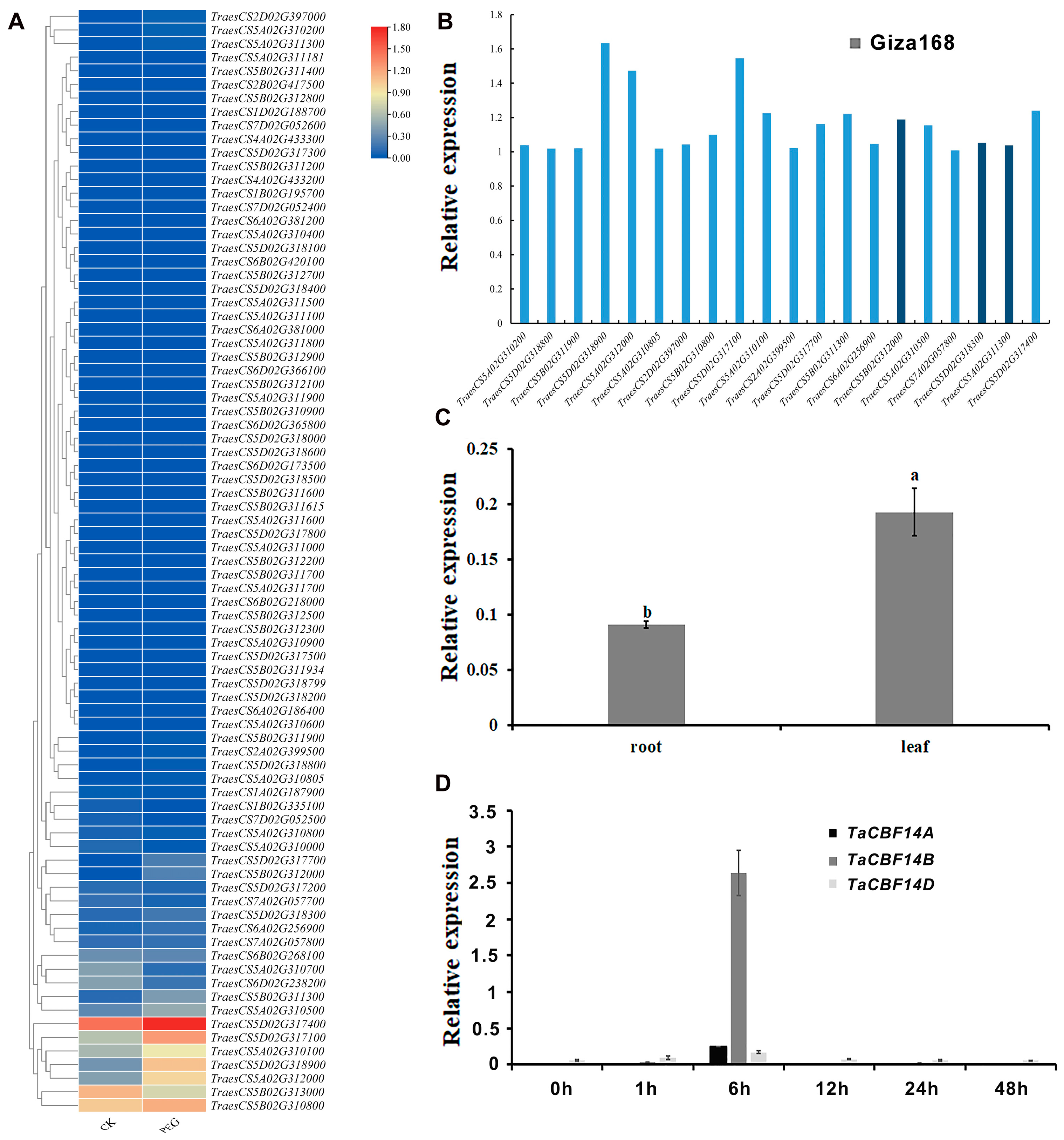 Agronomy 15 01265 g003