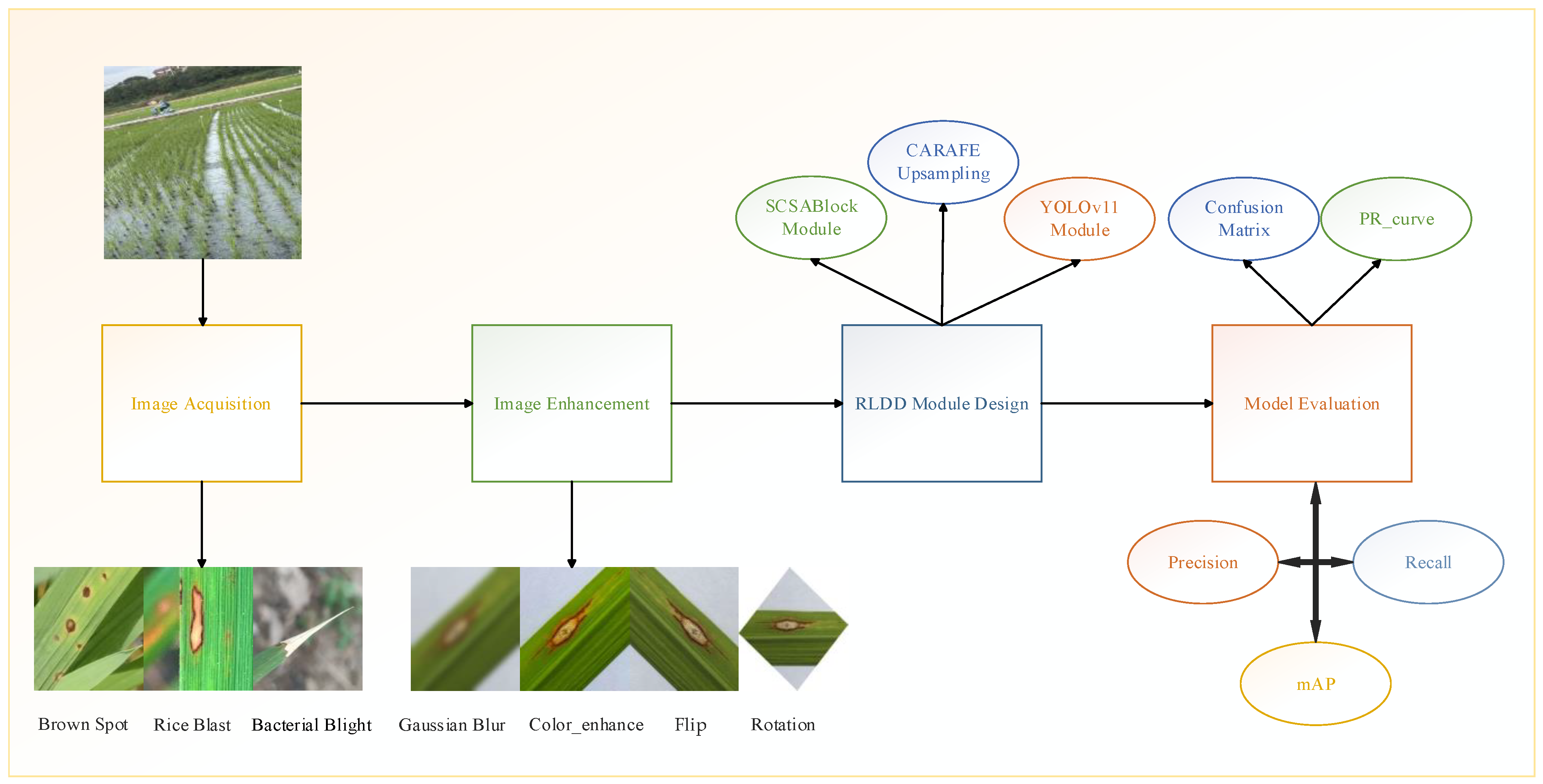 Agronomy 15 01266 g001