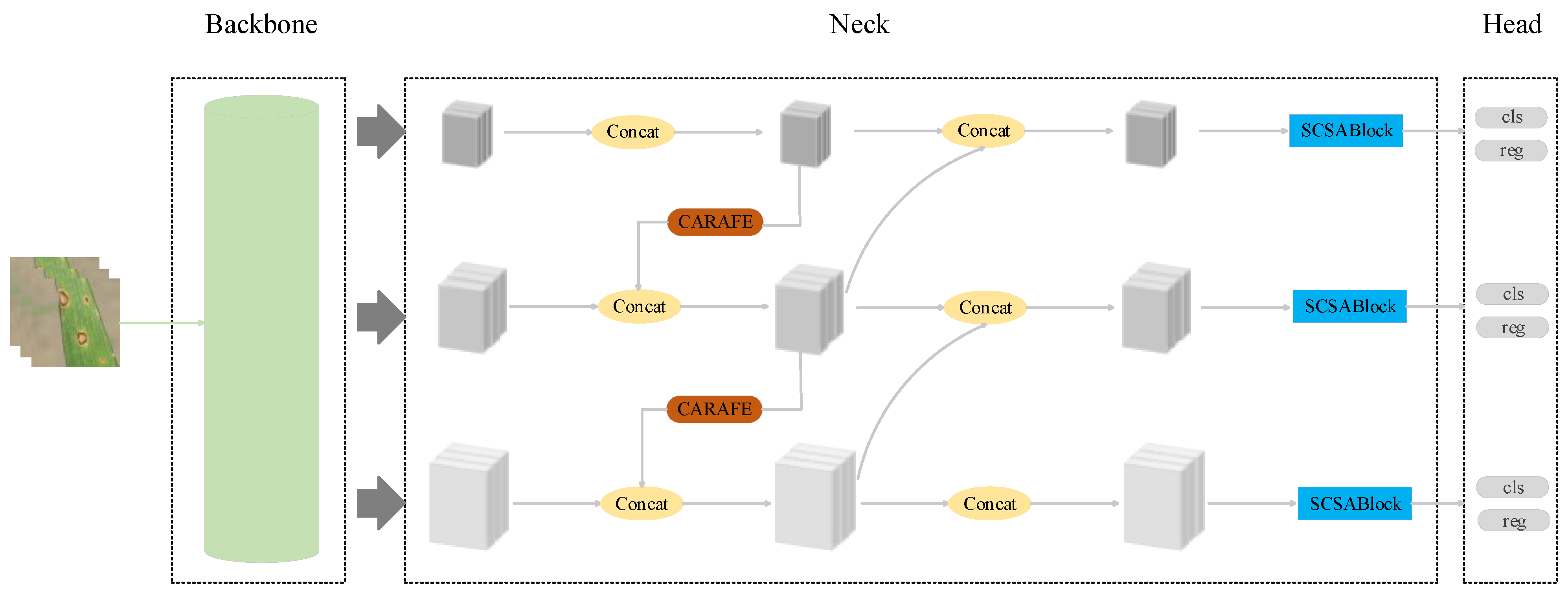 Agronomy 15 01266 g007