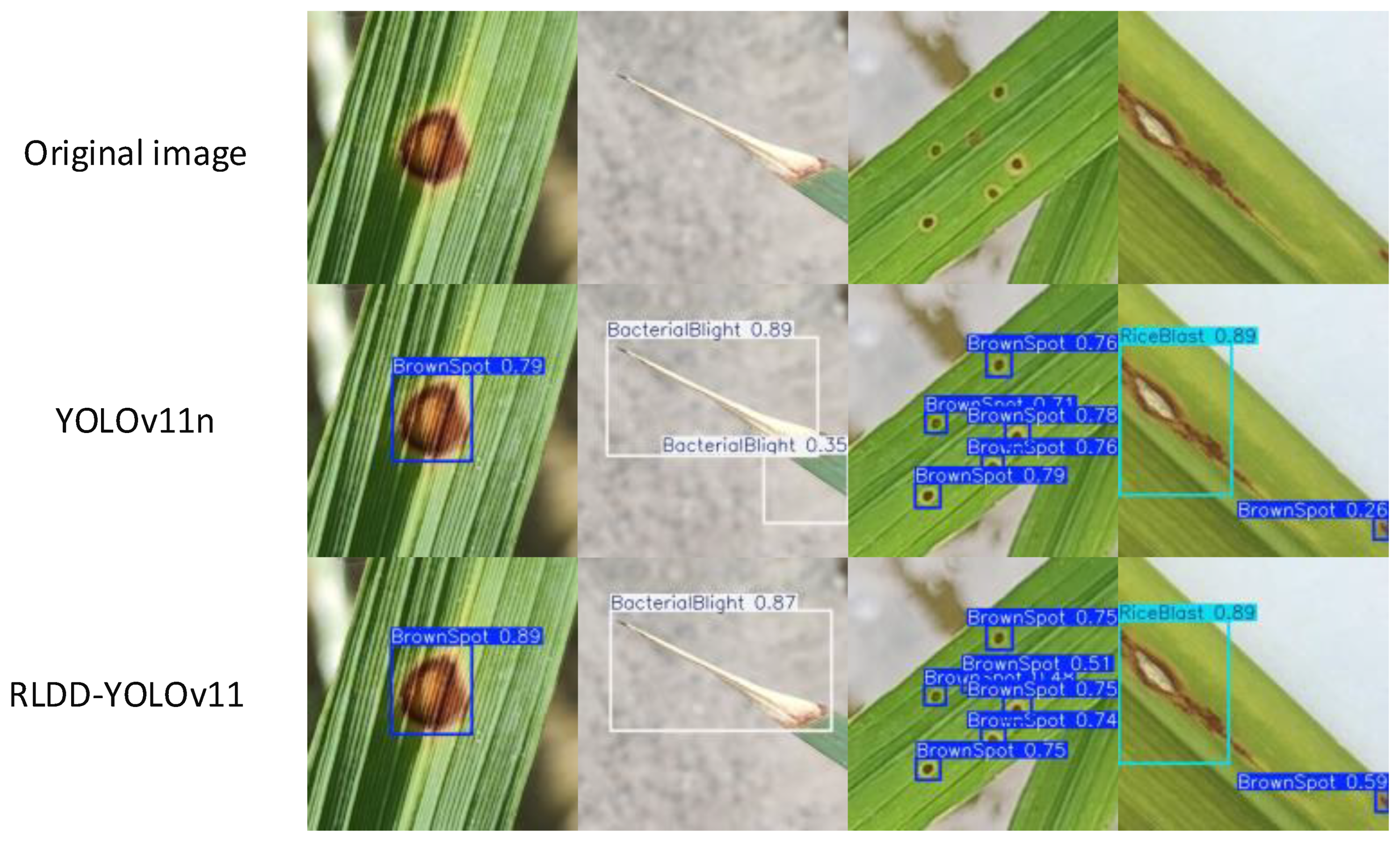 Agronomy 15 01266 g008