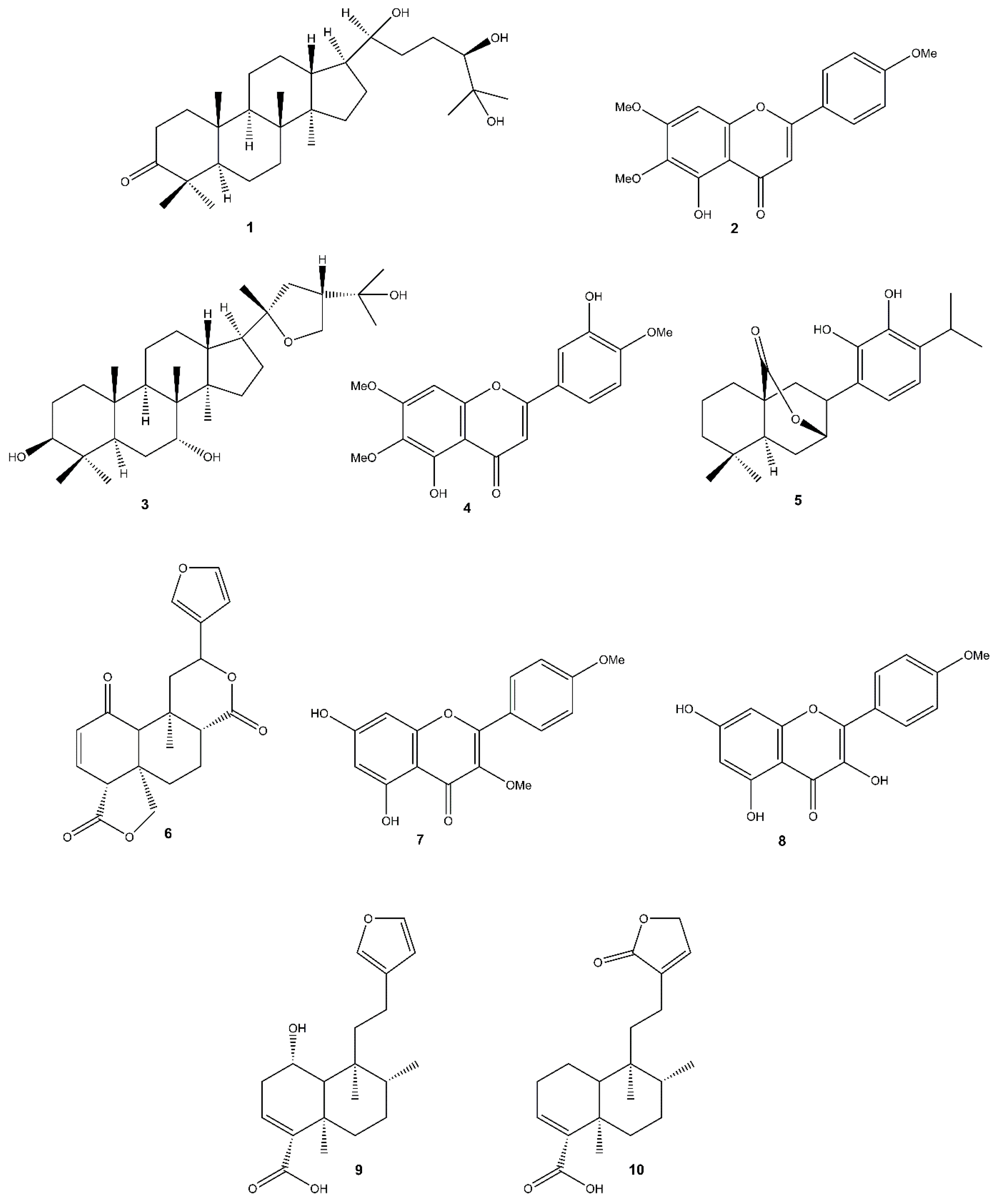 Agronomy 15 01268 g001