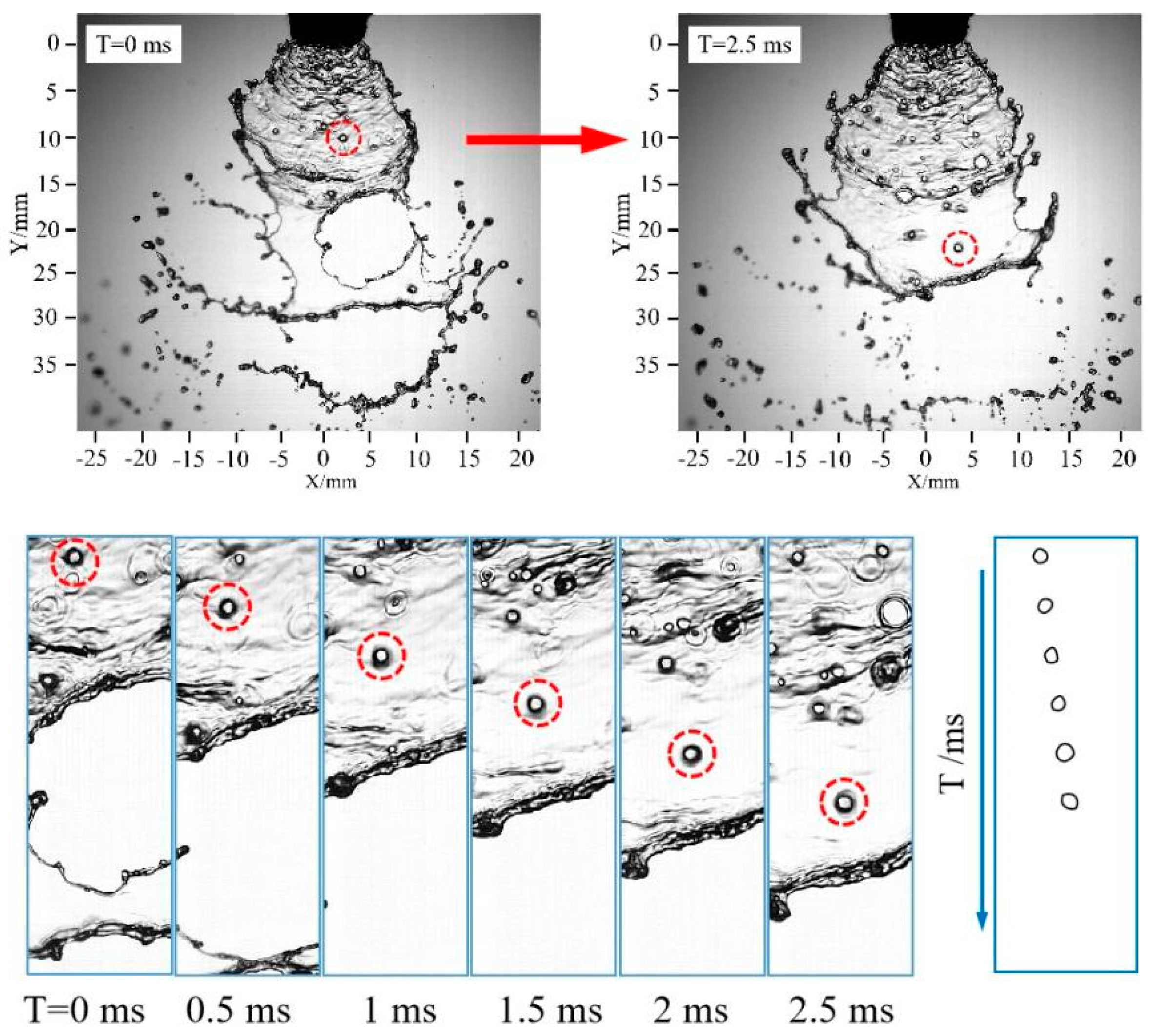Agronomy 15 01270 g016