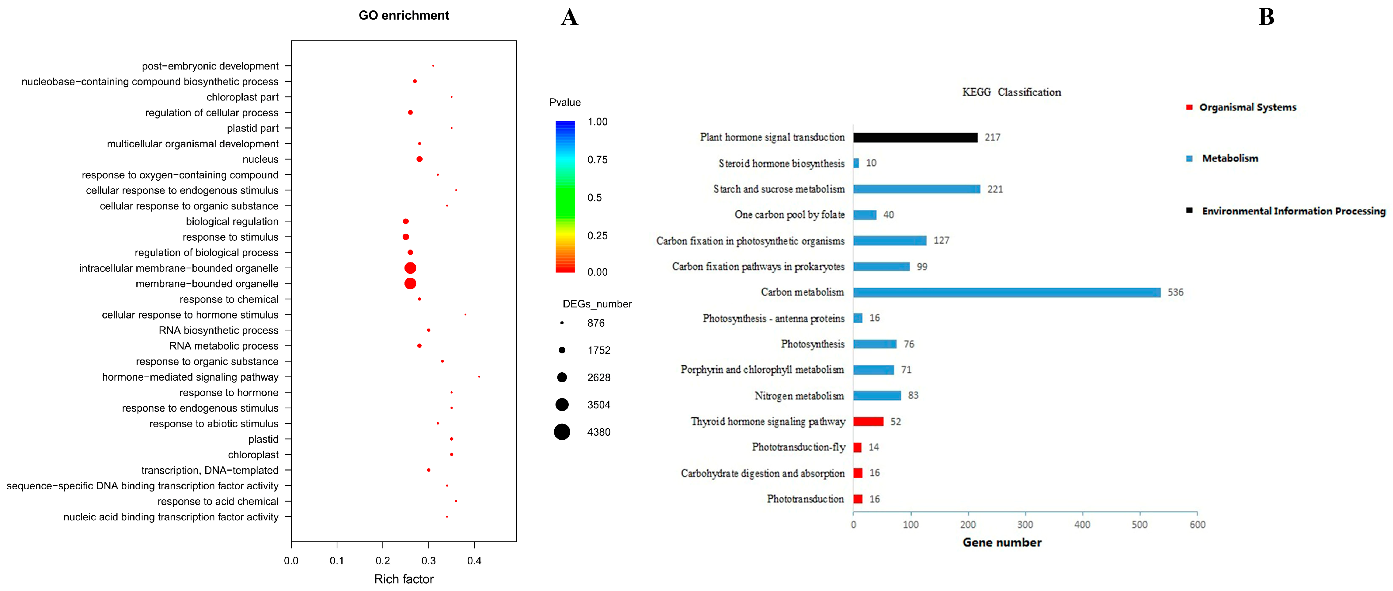 Agronomy 15 01272 g004