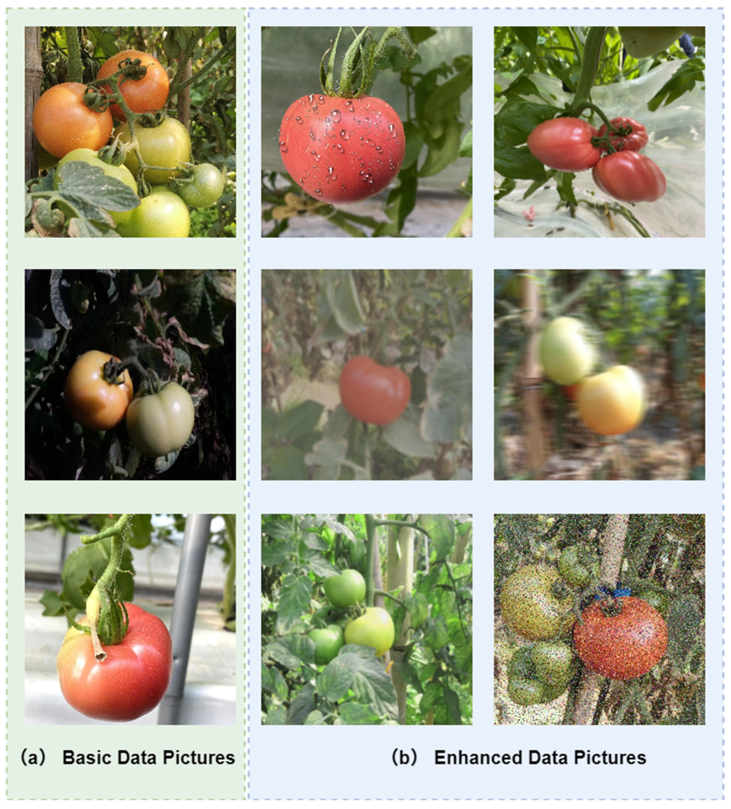 Agronomy 15 01273 g001