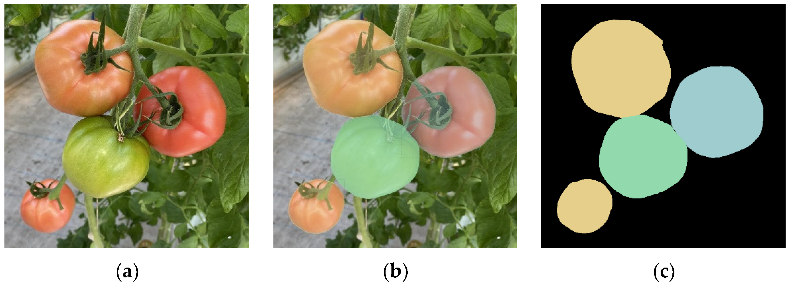 Agronomy 15 01273 g002