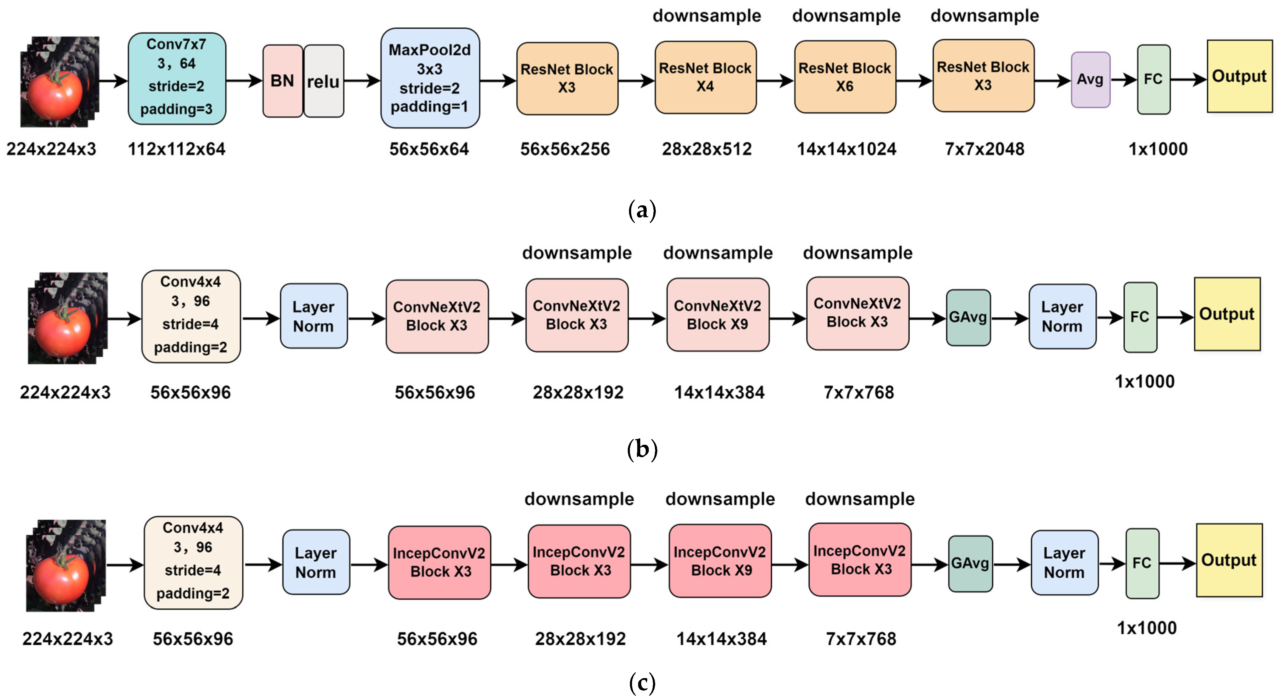 Agronomy 15 01273 g005