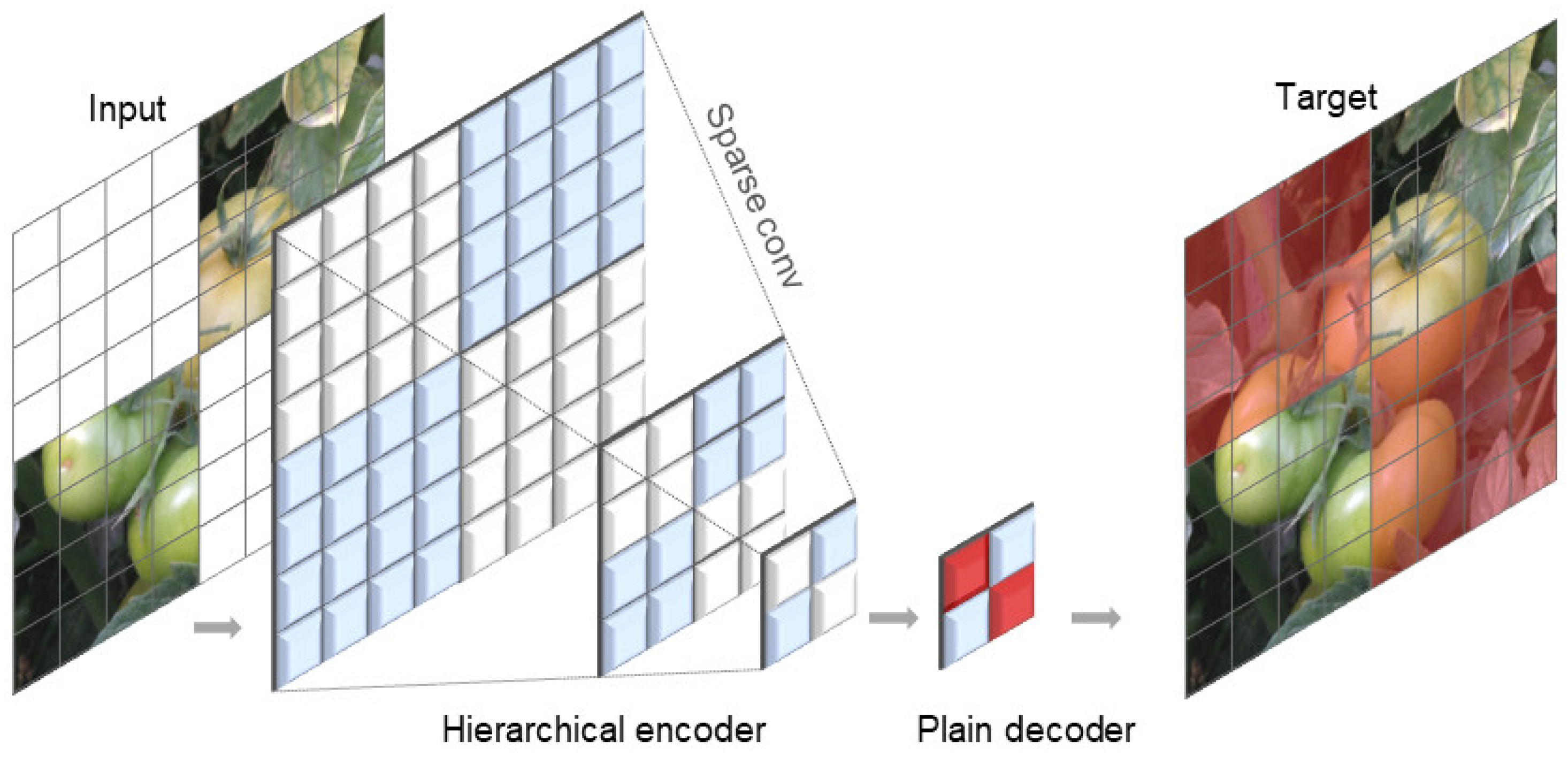 Agronomy 15 01273 g006