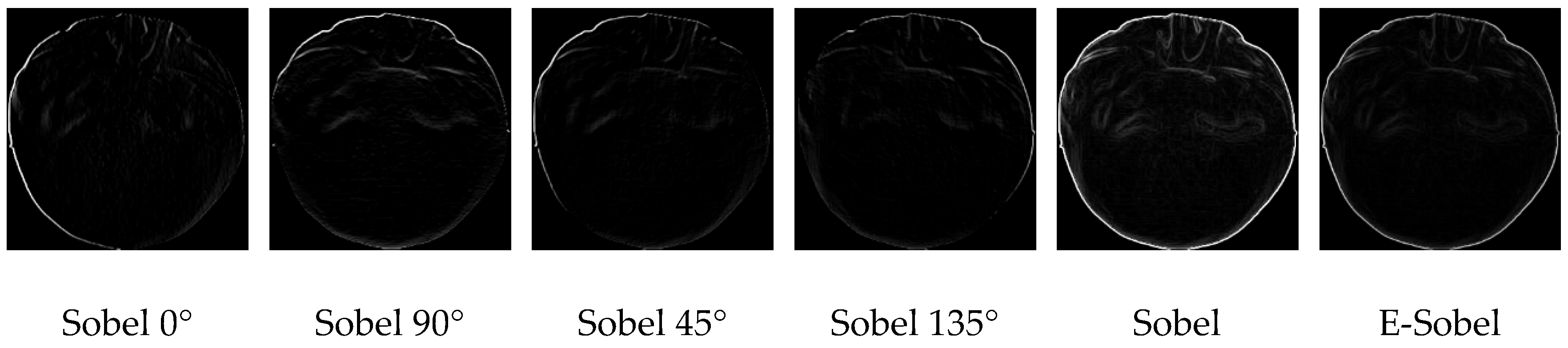 Agronomy 15 01273 g007
