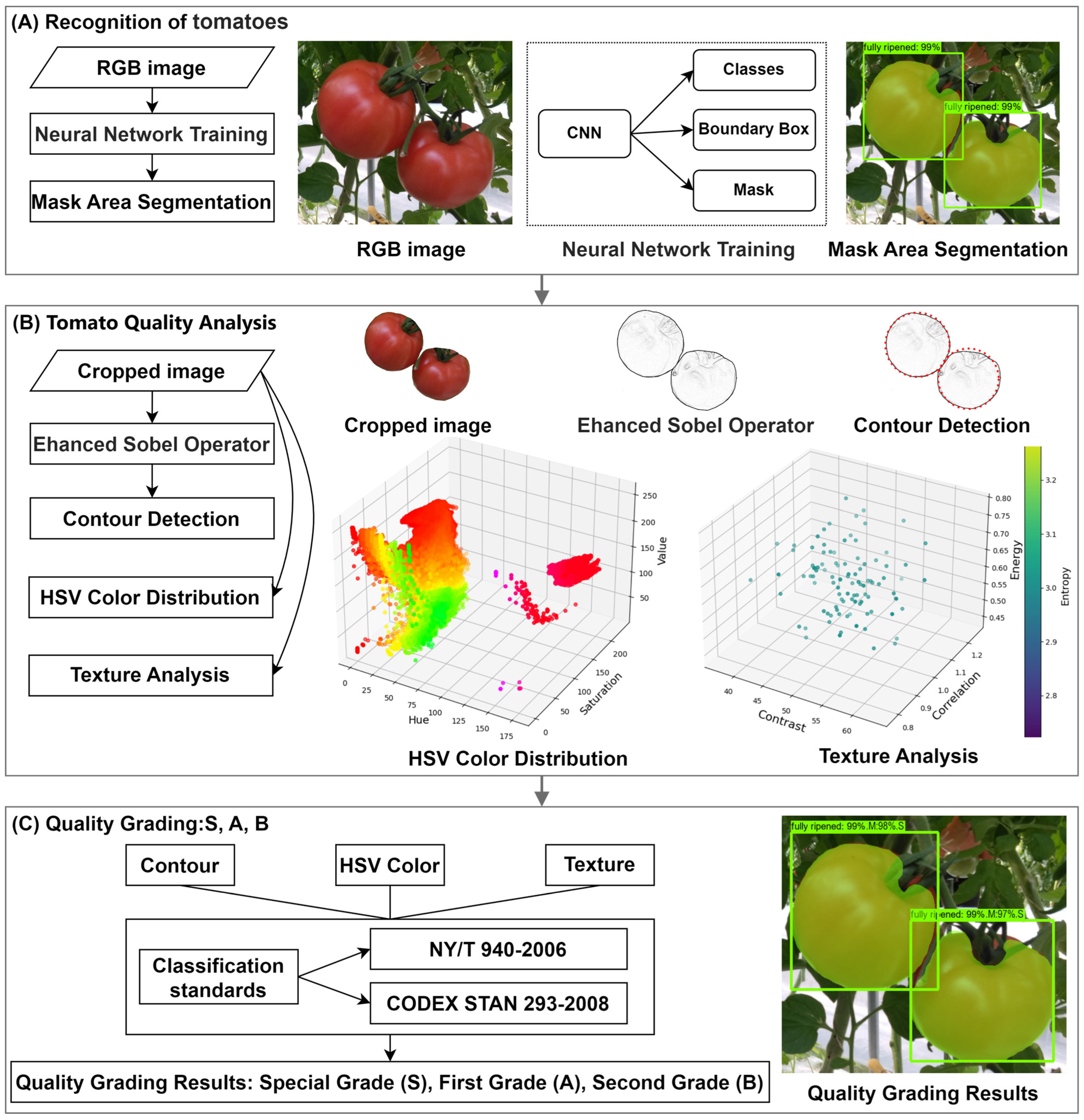 Agronomy 15 01273 g008