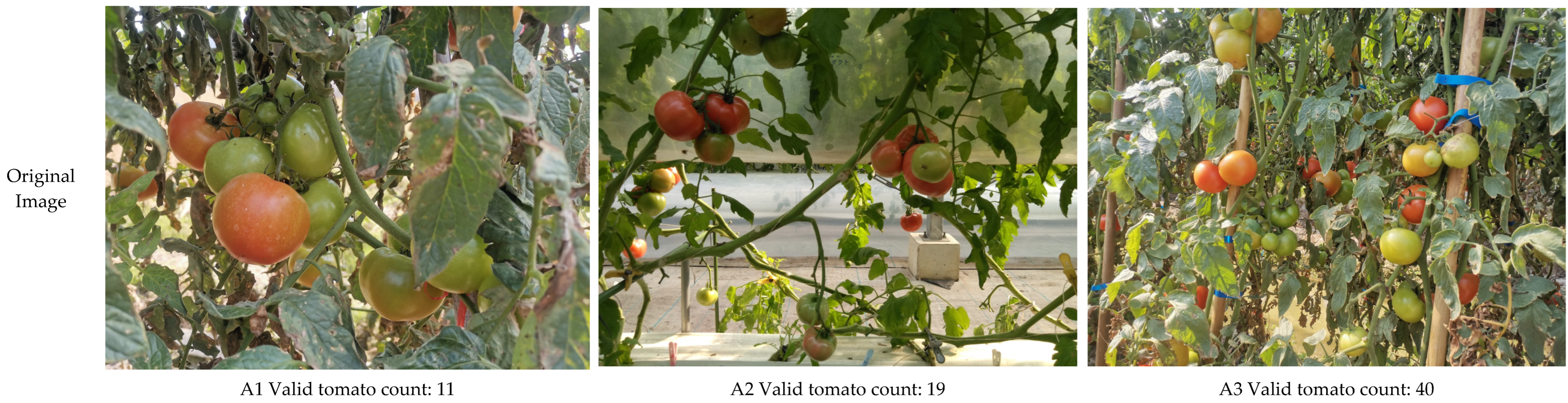 Agronomy 15 01273 g010a