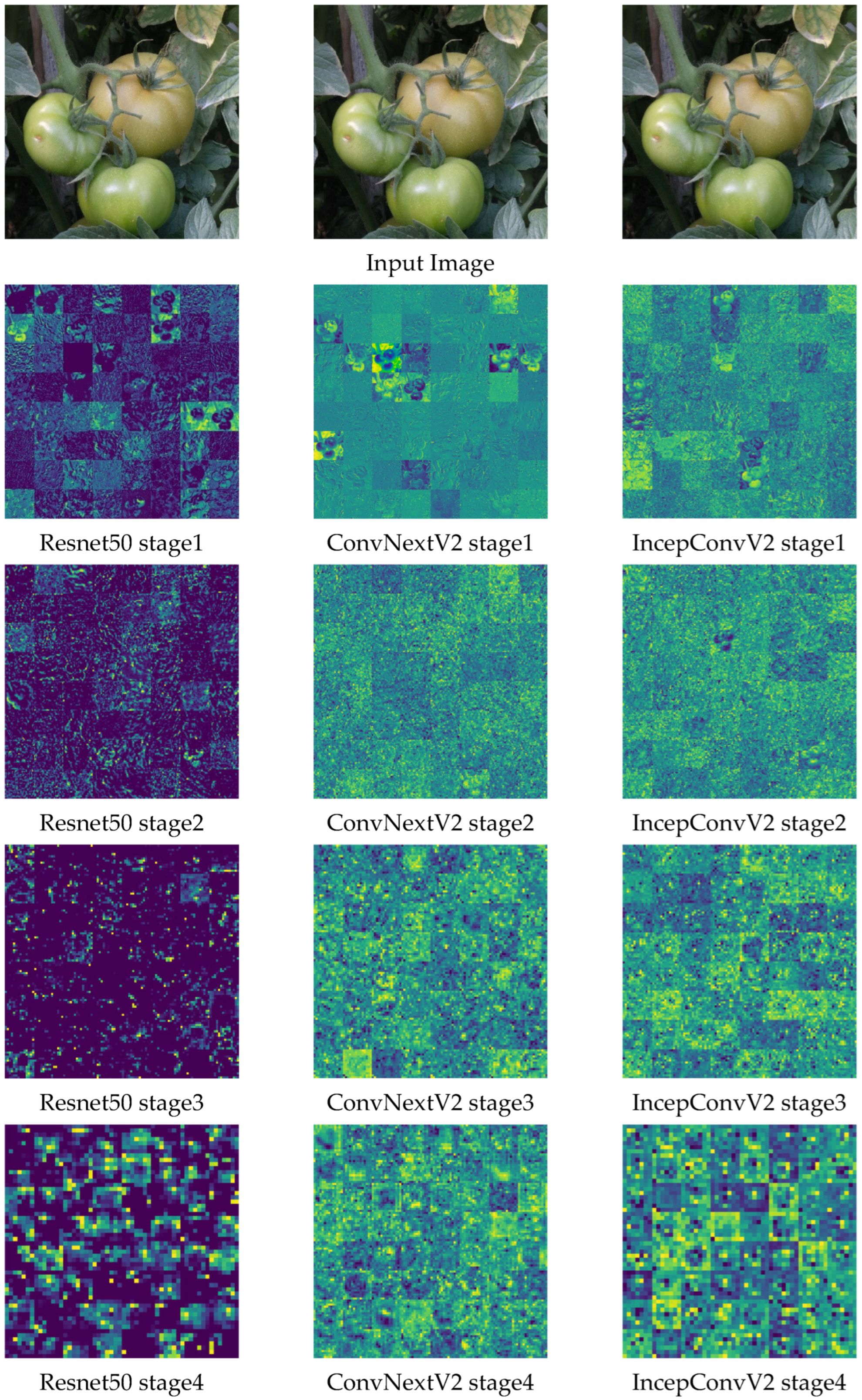 Agronomy 15 01273 g012