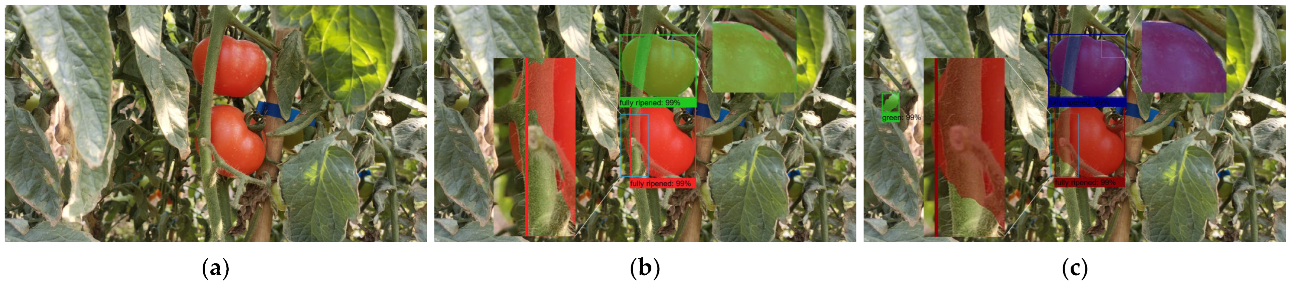Agronomy 15 01273 g014