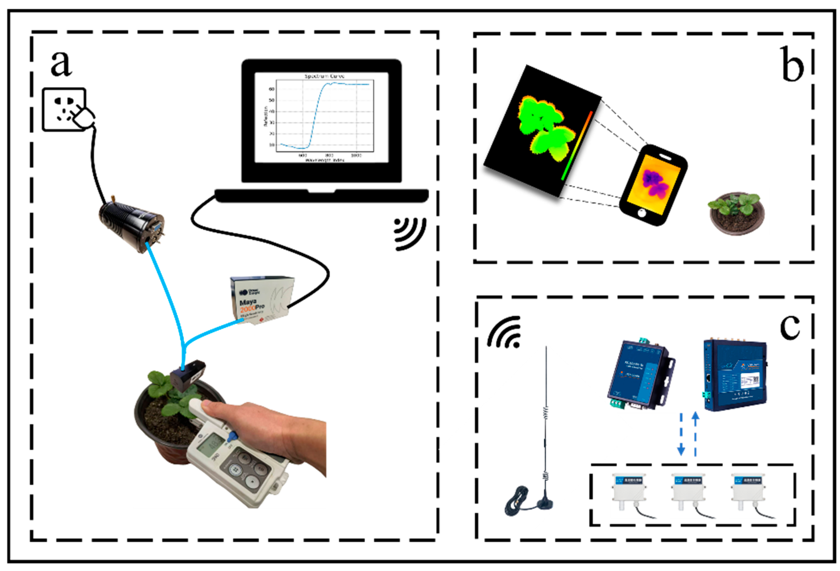 Agronomy 15 01275 g003