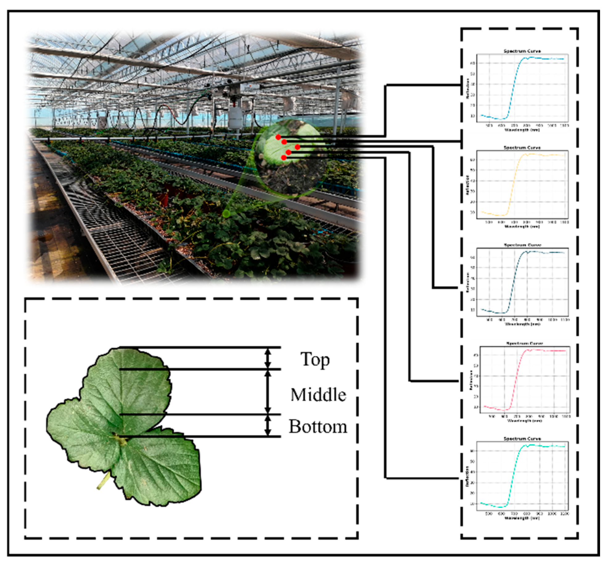Agronomy 15 01275 g004