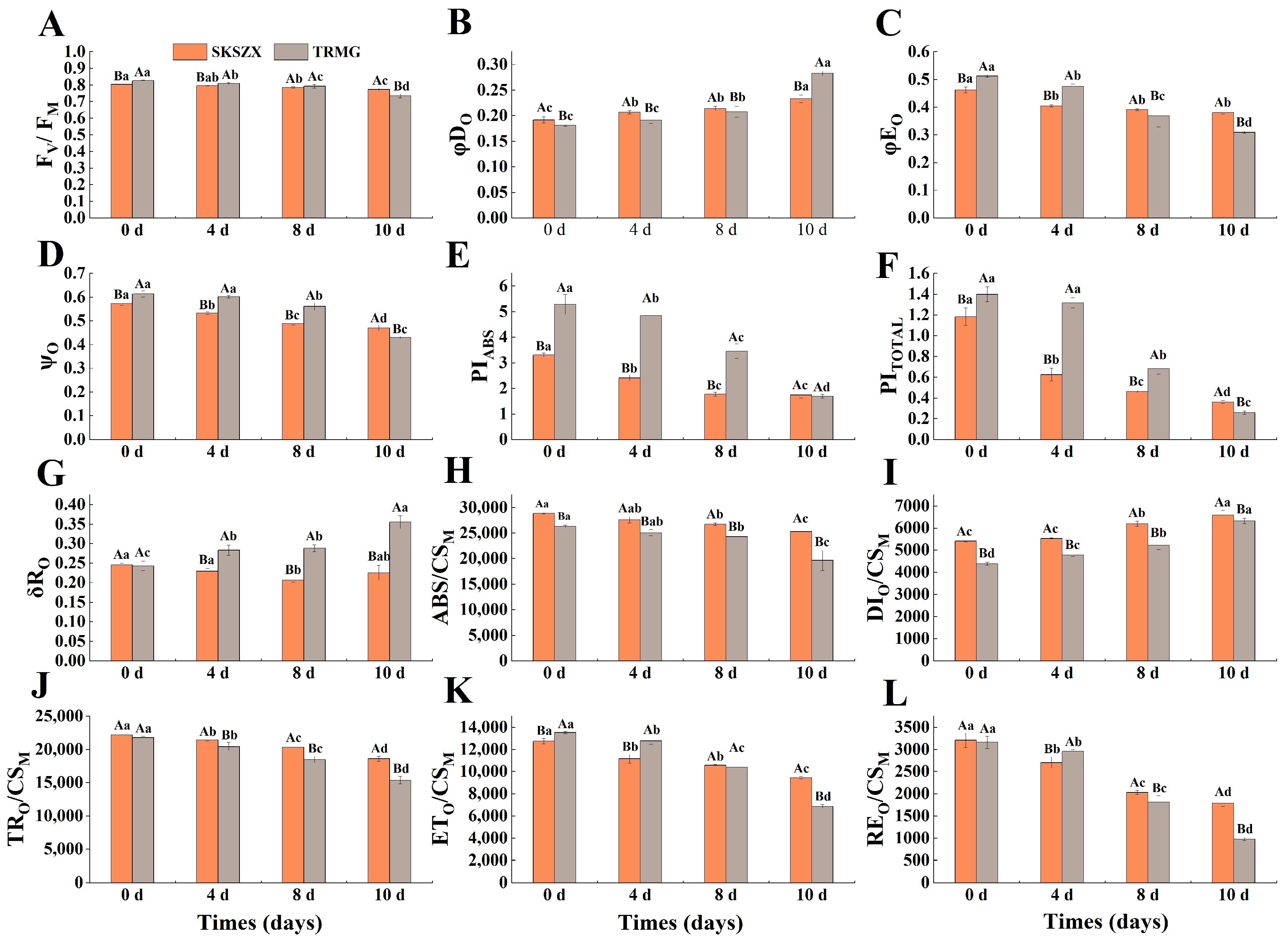 Agronomy 15 01278 g003