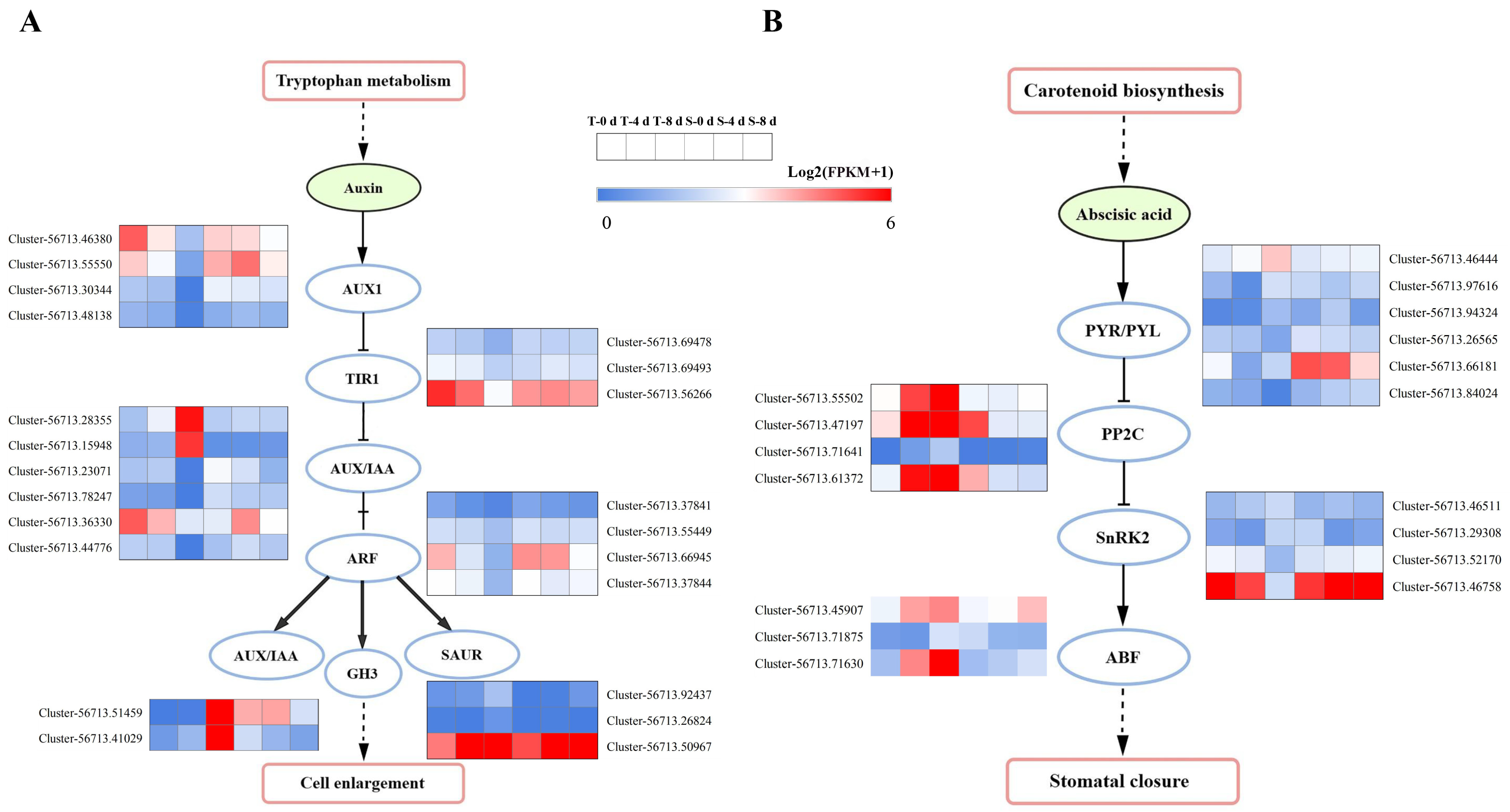 Agronomy 15 01278 g006