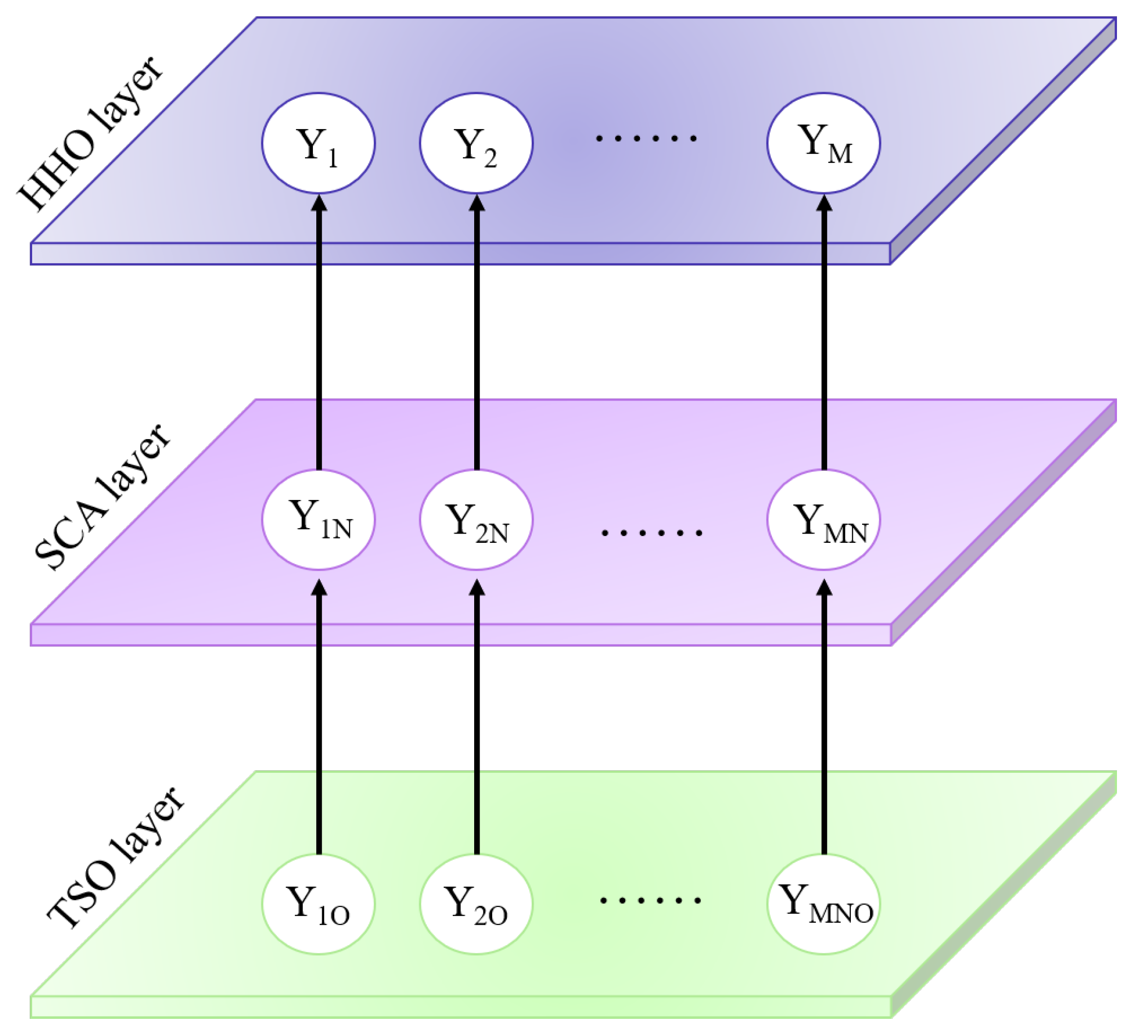 Agronomy 15 01279 g005
