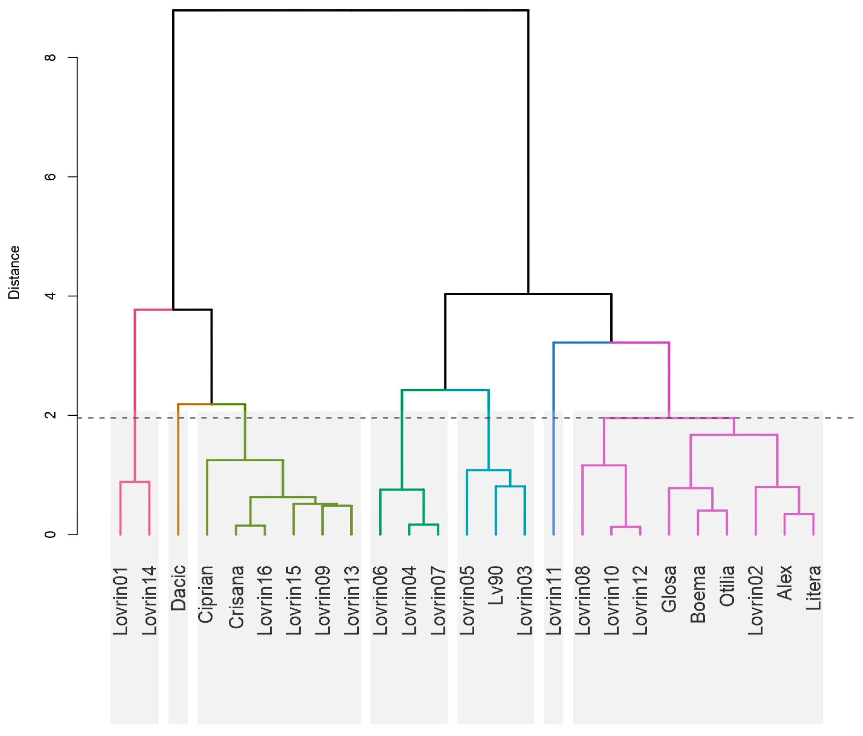 Agronomy 15 01280 g008