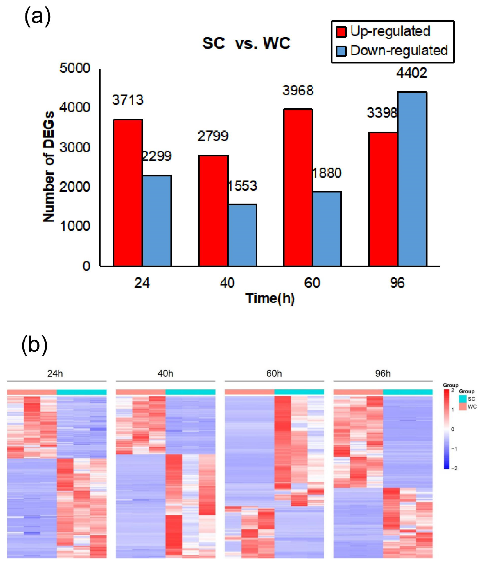 Agronomy 15 01282 g004