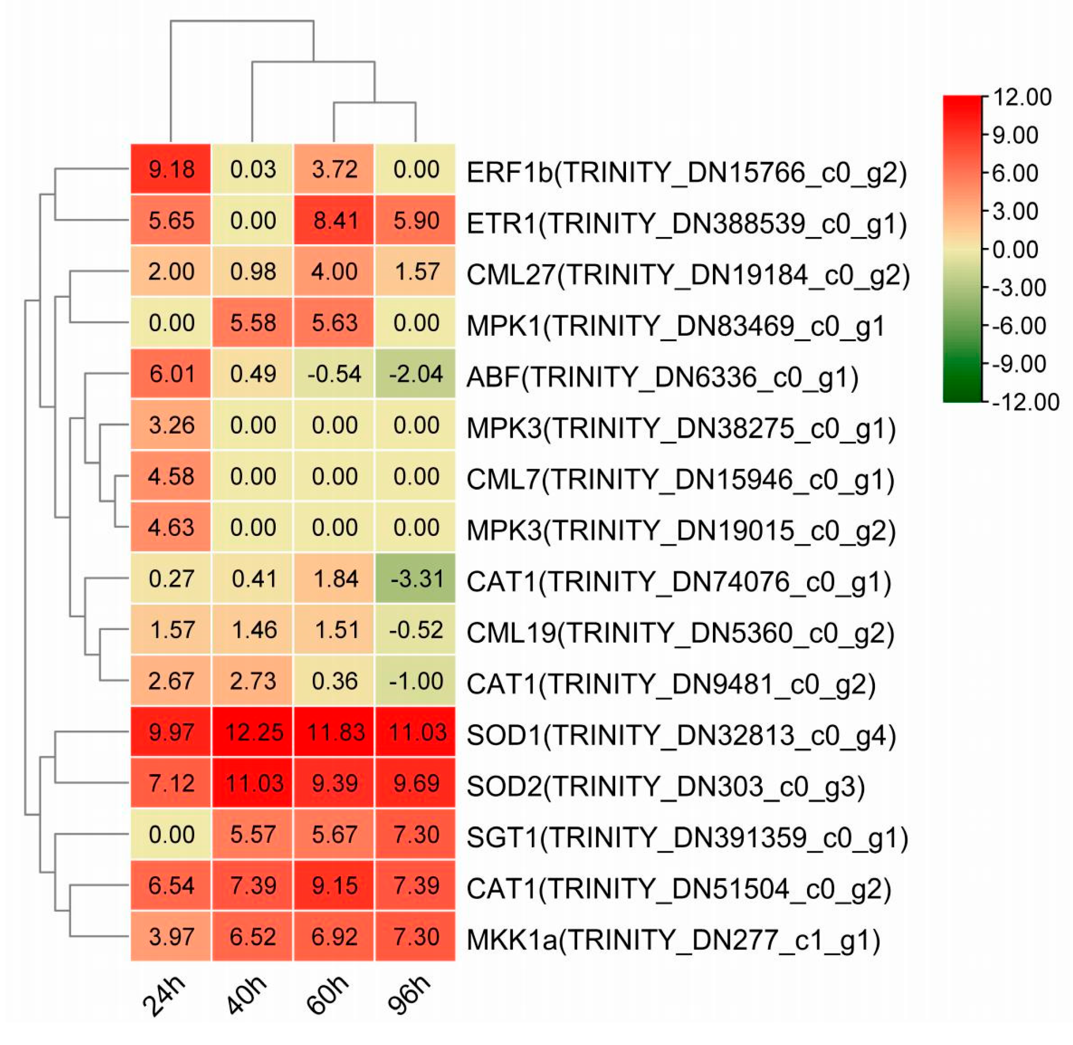 Agronomy 15 01282 g005