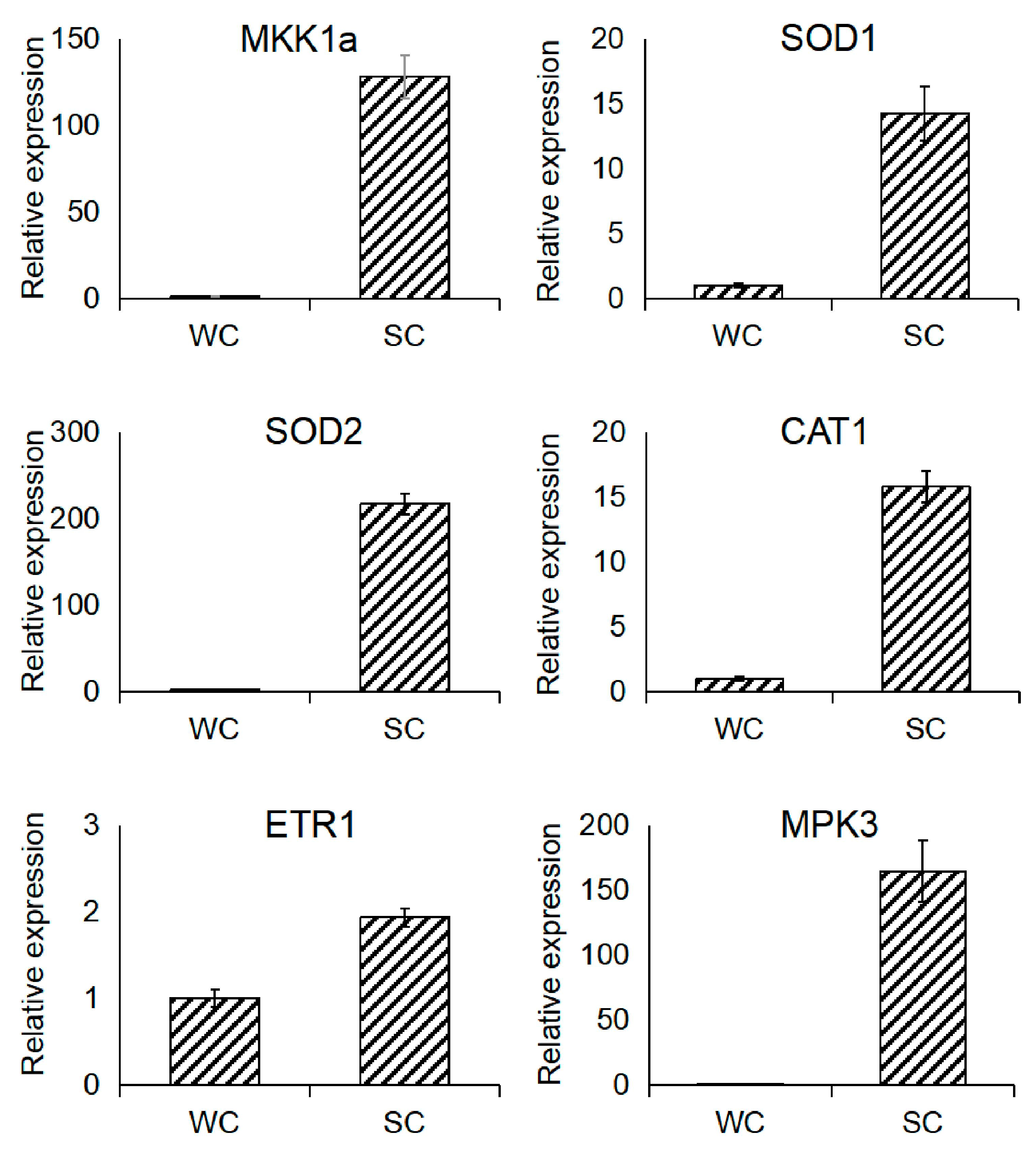 Agronomy 15 01282 g006