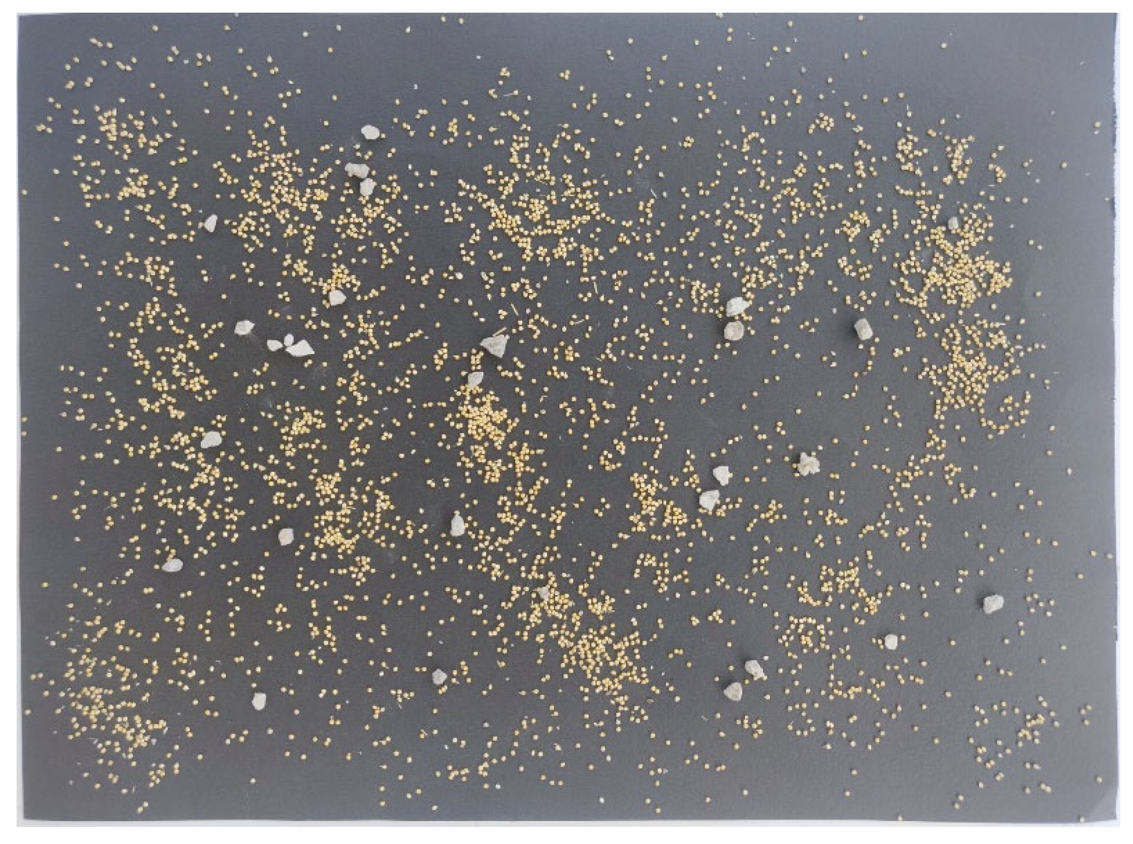 Agronomy 15 01284 g002