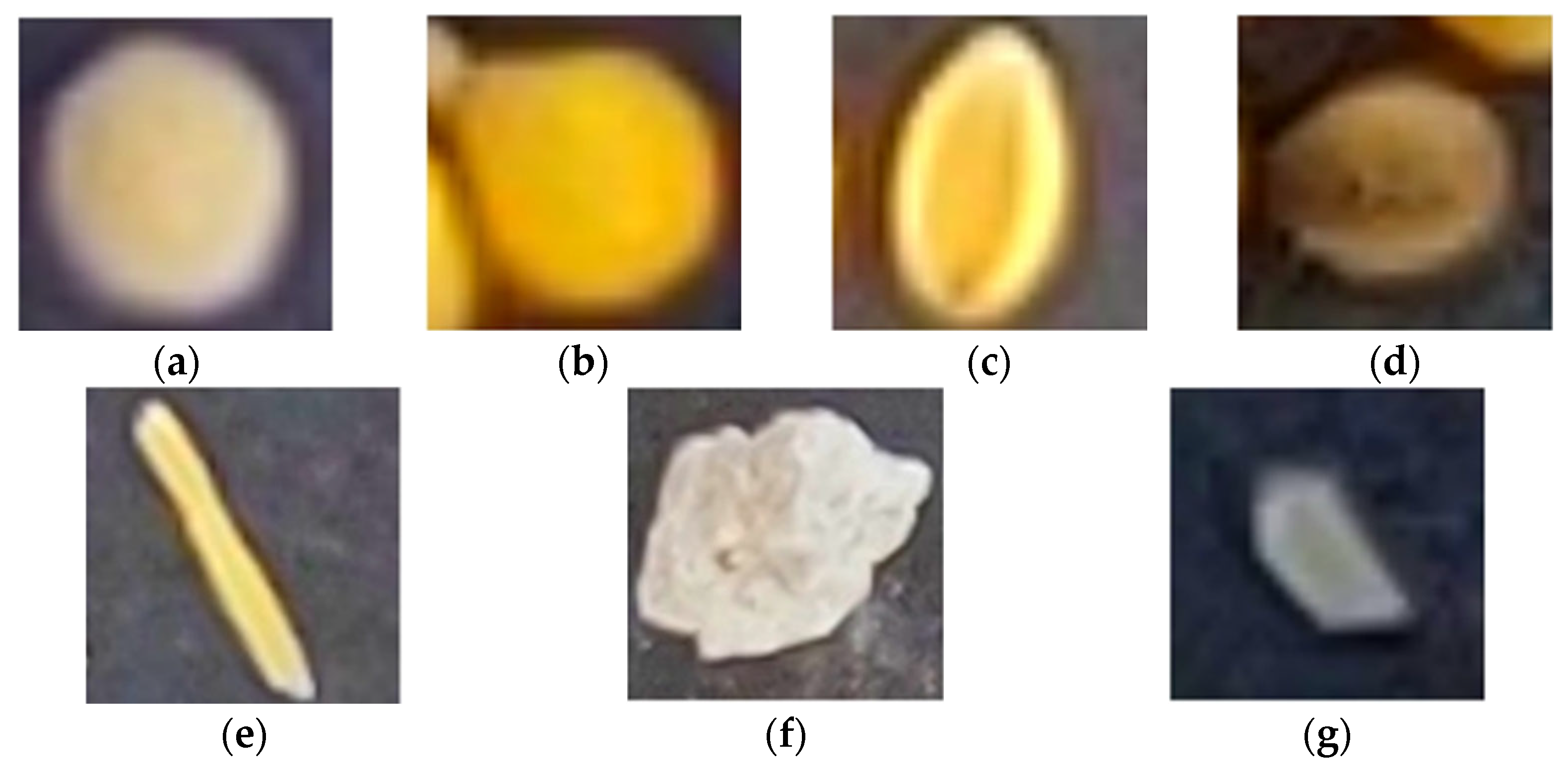 Agronomy 15 01284 g003