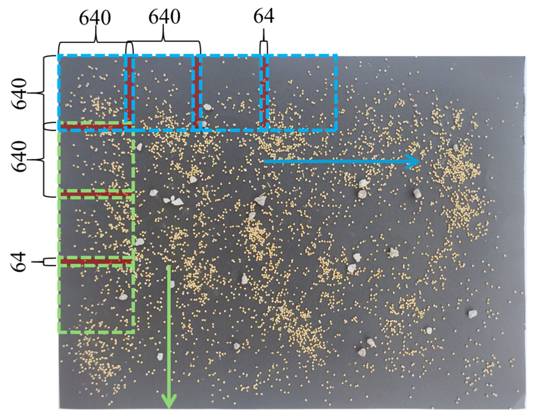Agronomy 15 01284 g006