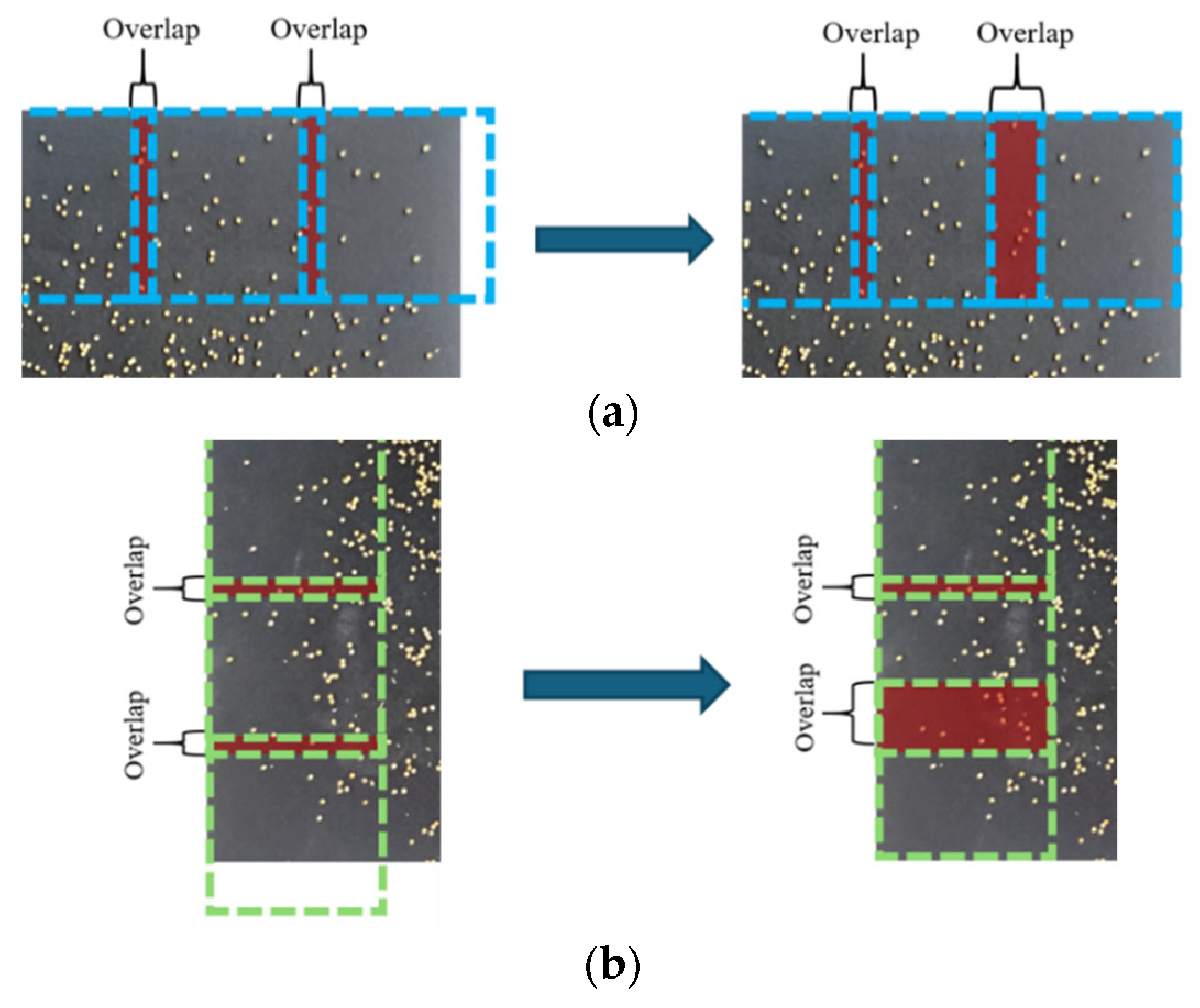 Agronomy 15 01284 g007