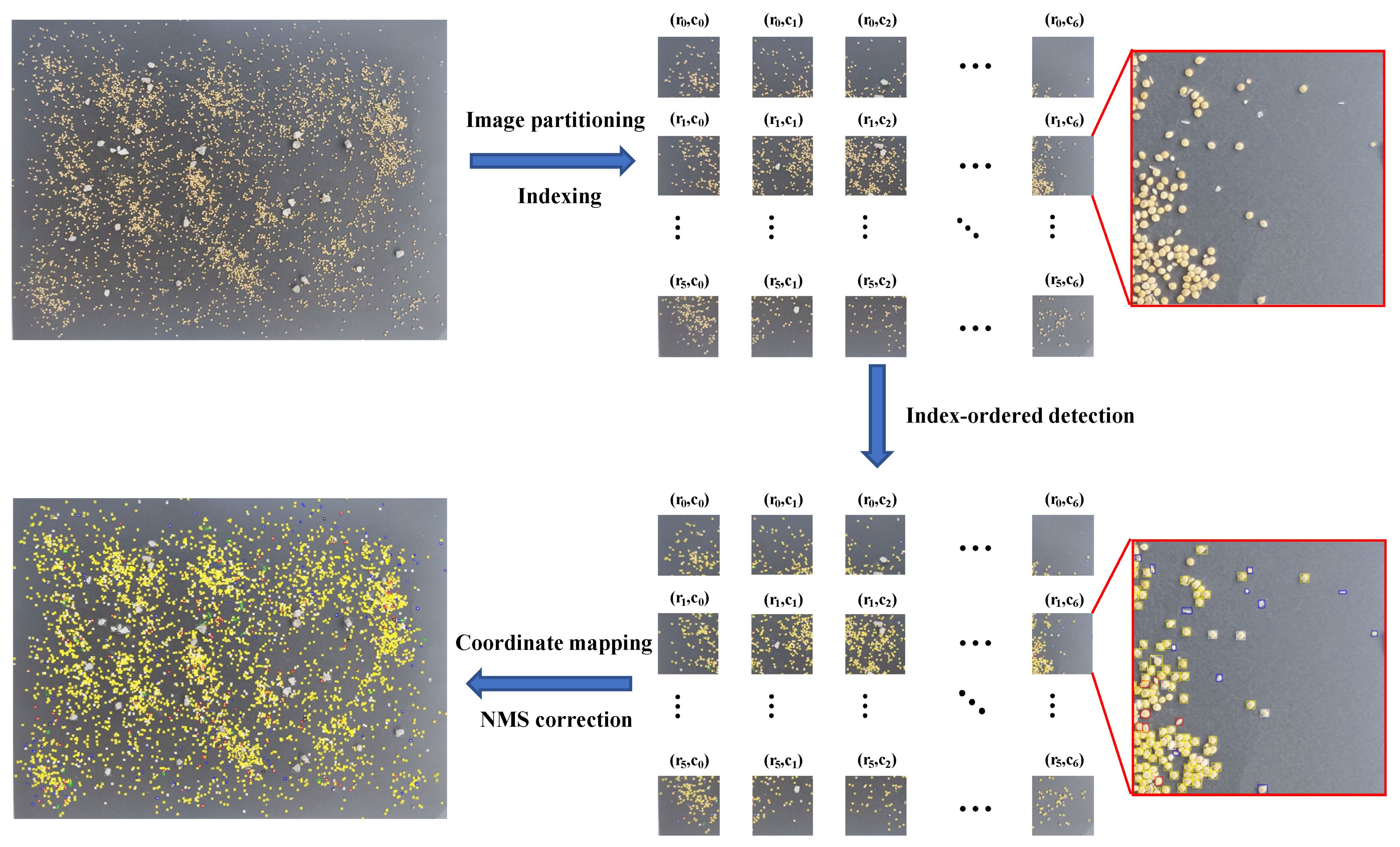 Agronomy 15 01284 g009