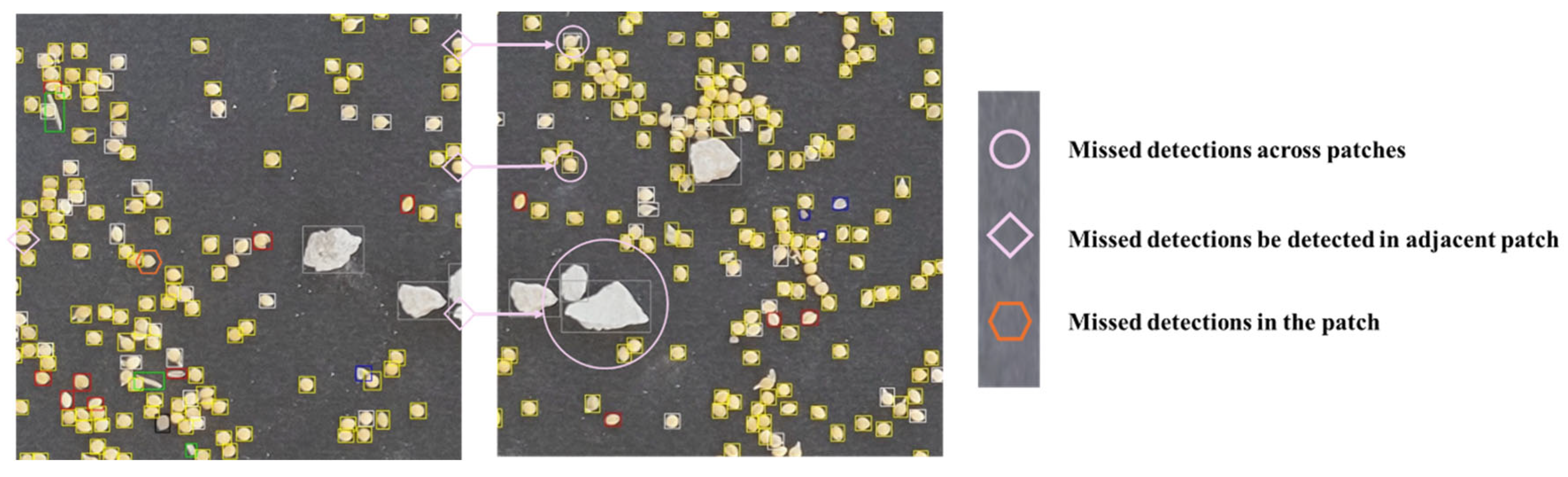 Agronomy 15 01284 g012