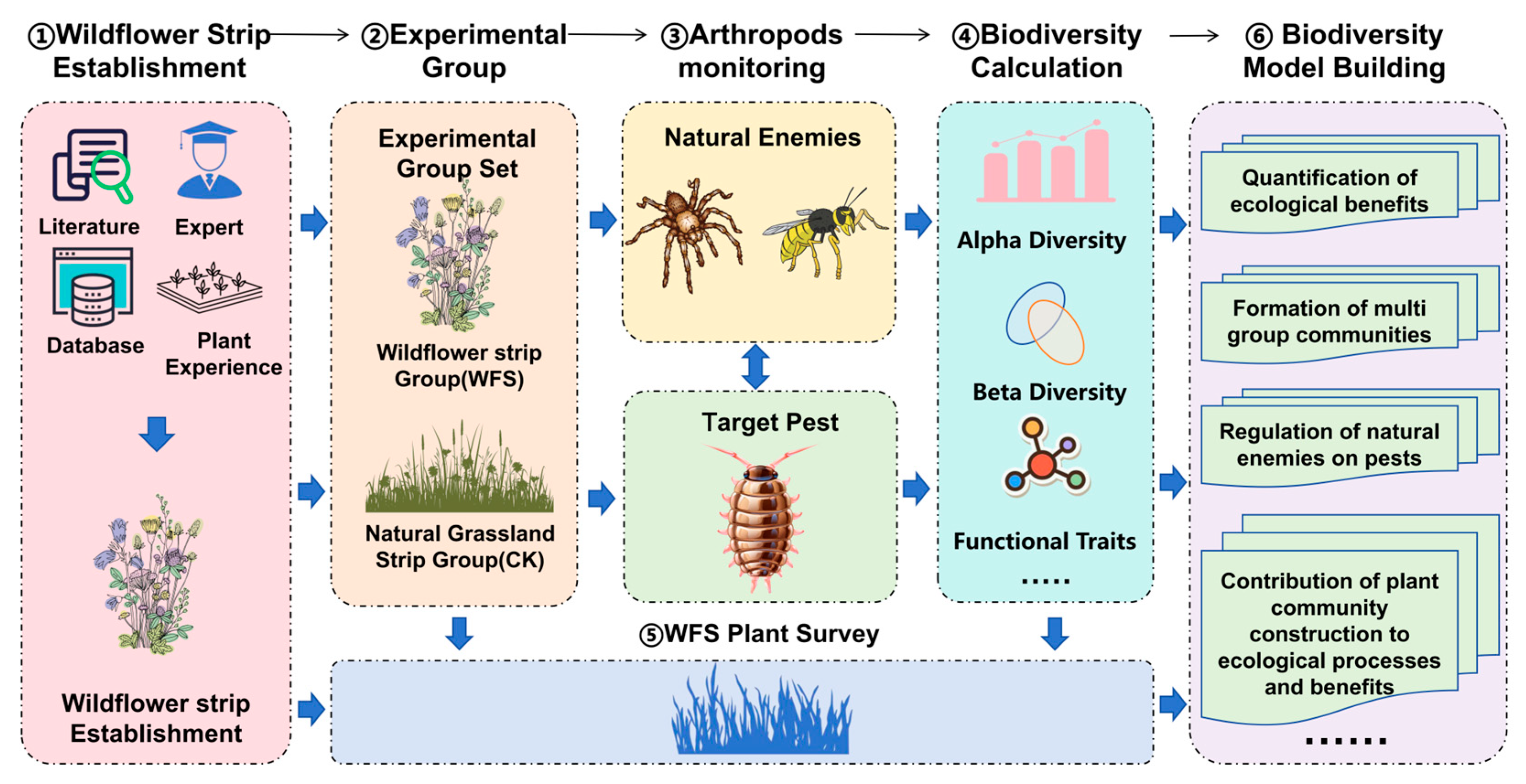 Agronomy 15 01286 g002