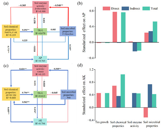 Enhancing Soil Phosphorus and Potassium Availability in Tea