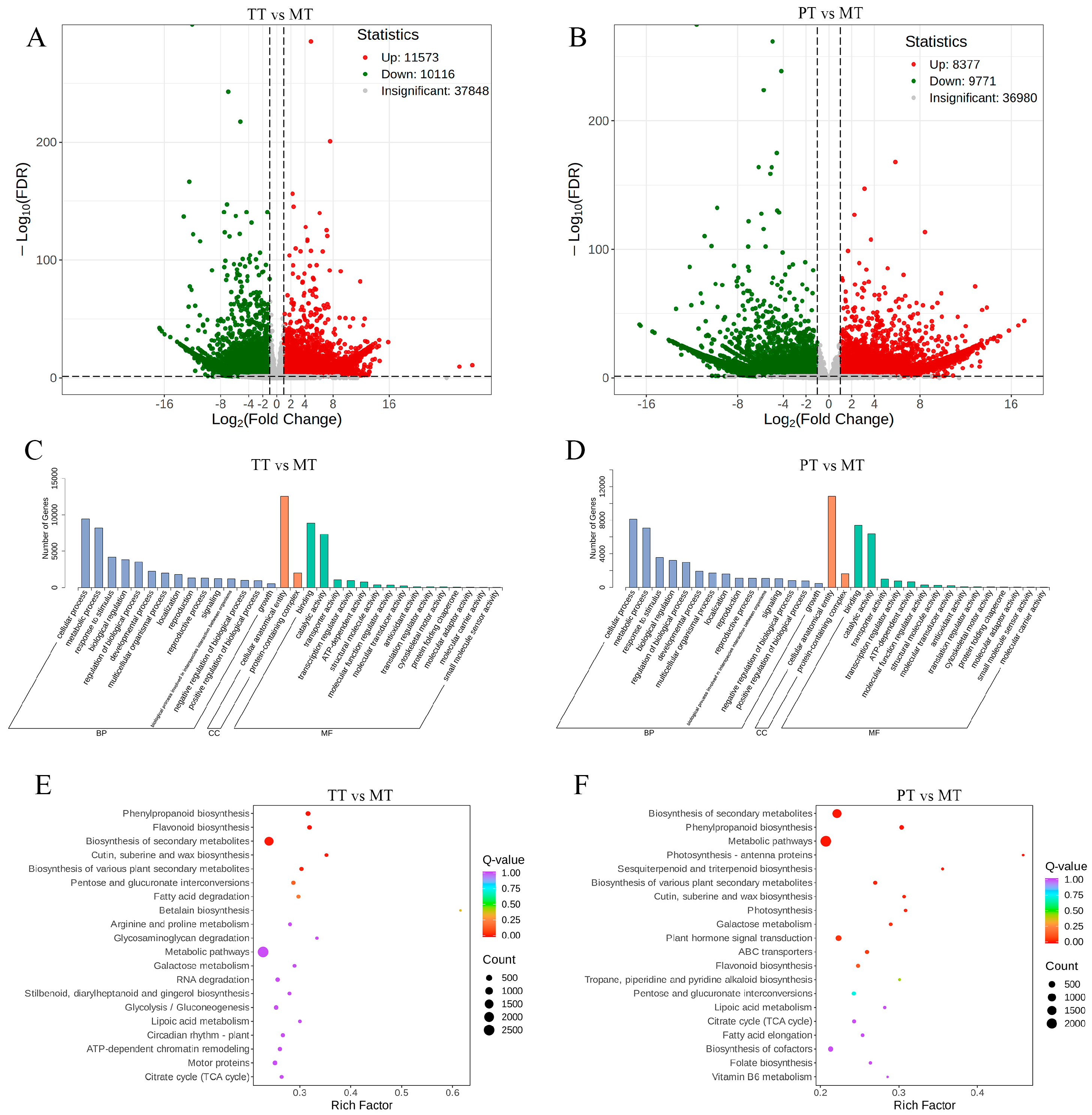 Agronomy 15 01288 g001 Agronomy 15 01288 g001
