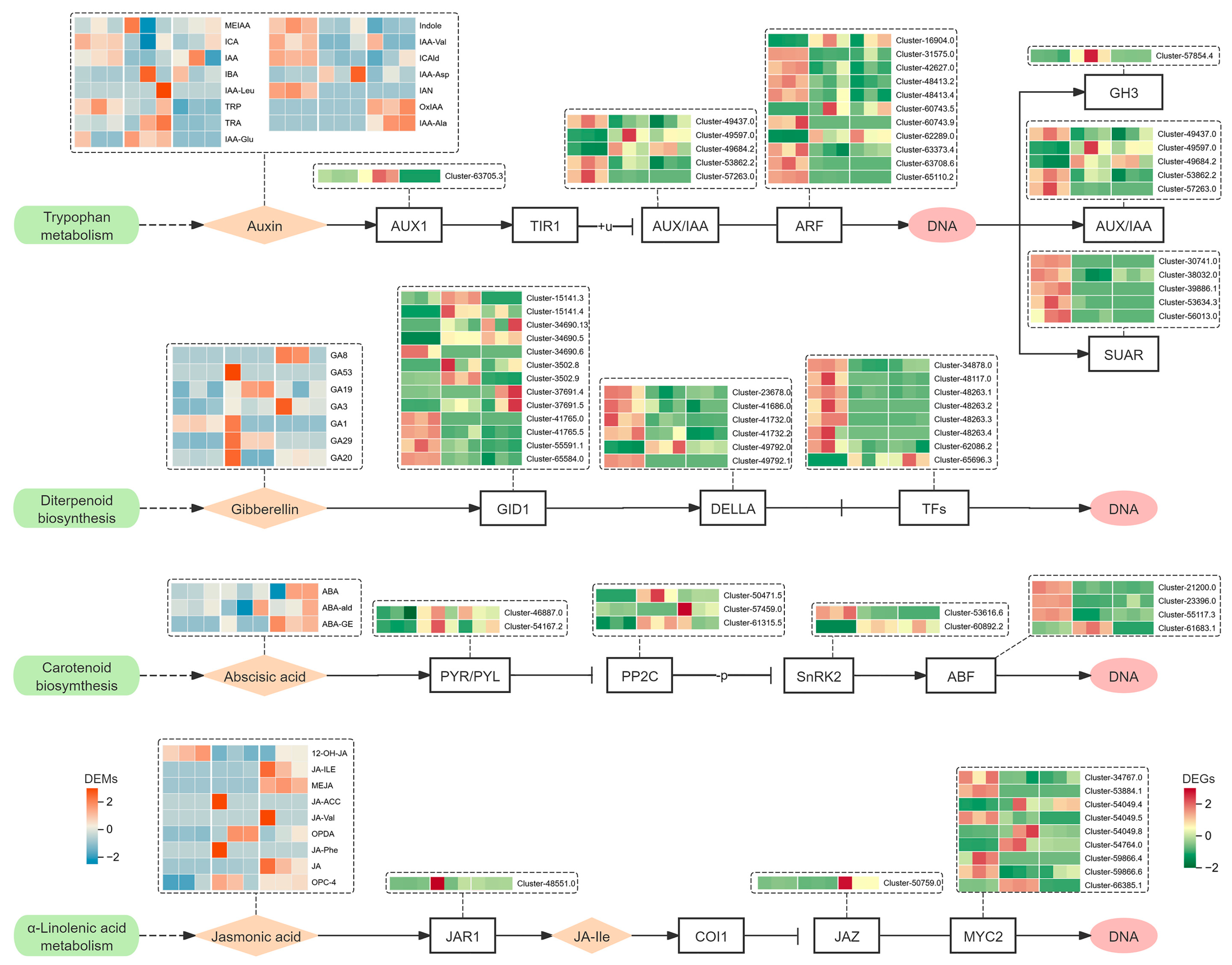 Agronomy 15 01288 g007 Agronomy 15 01288 g007