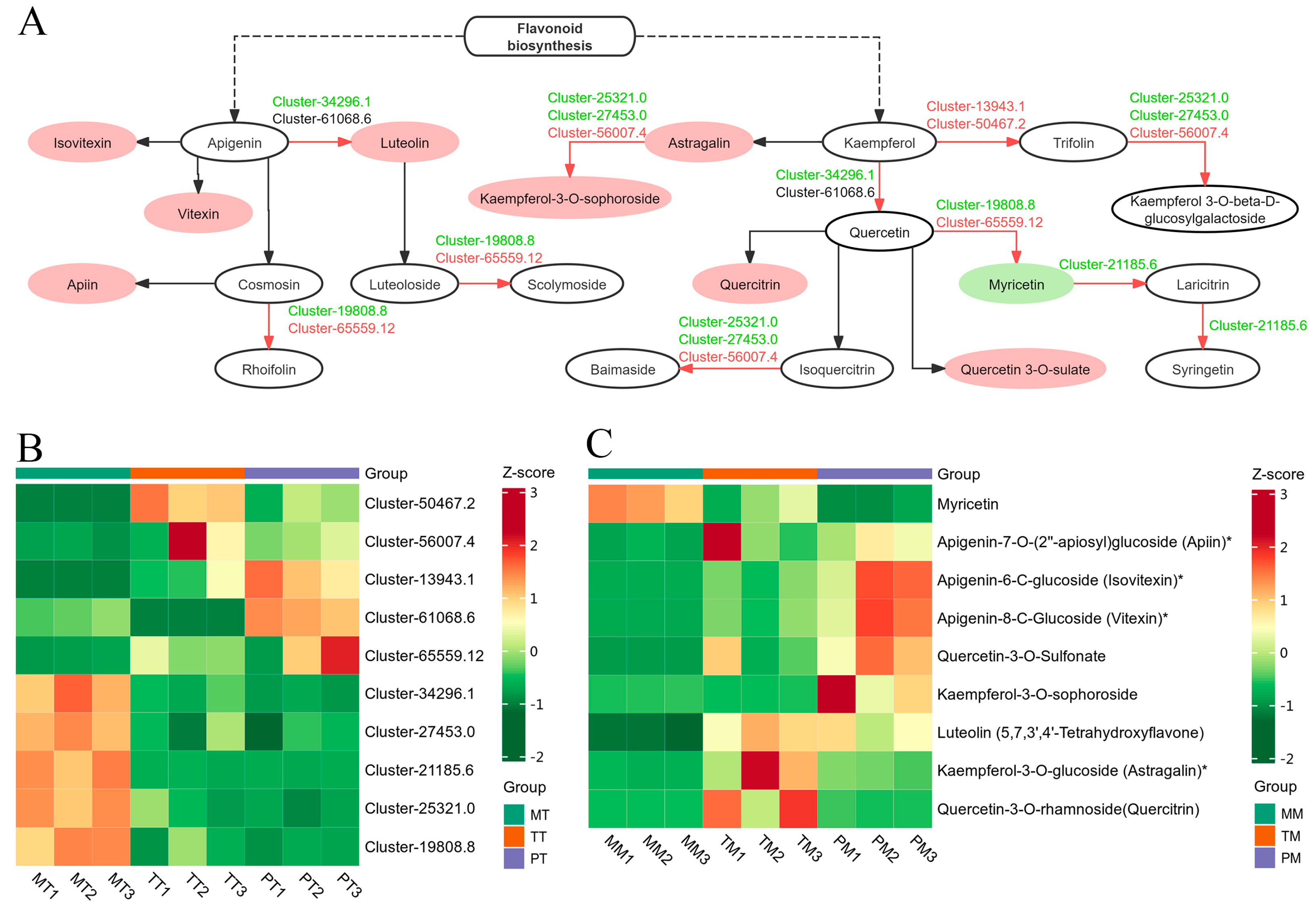 Agronomy 15 01288 g008 Agronomy 15 01288 g008