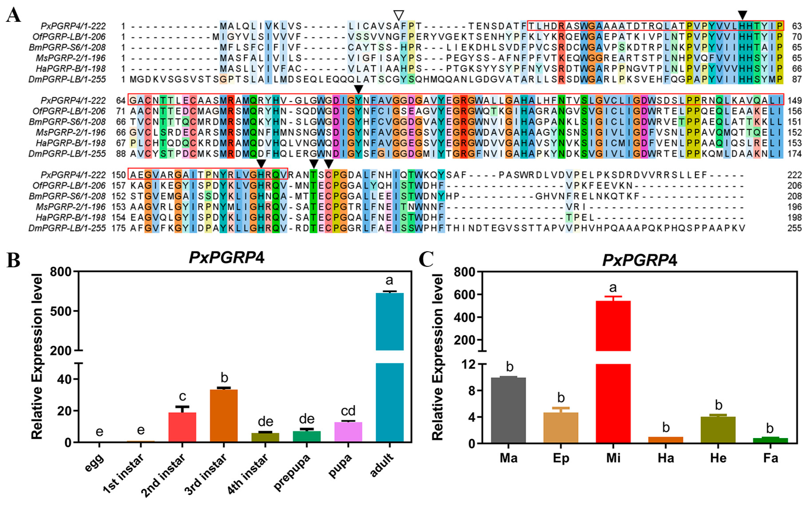 Agronomy 15 01294 g001