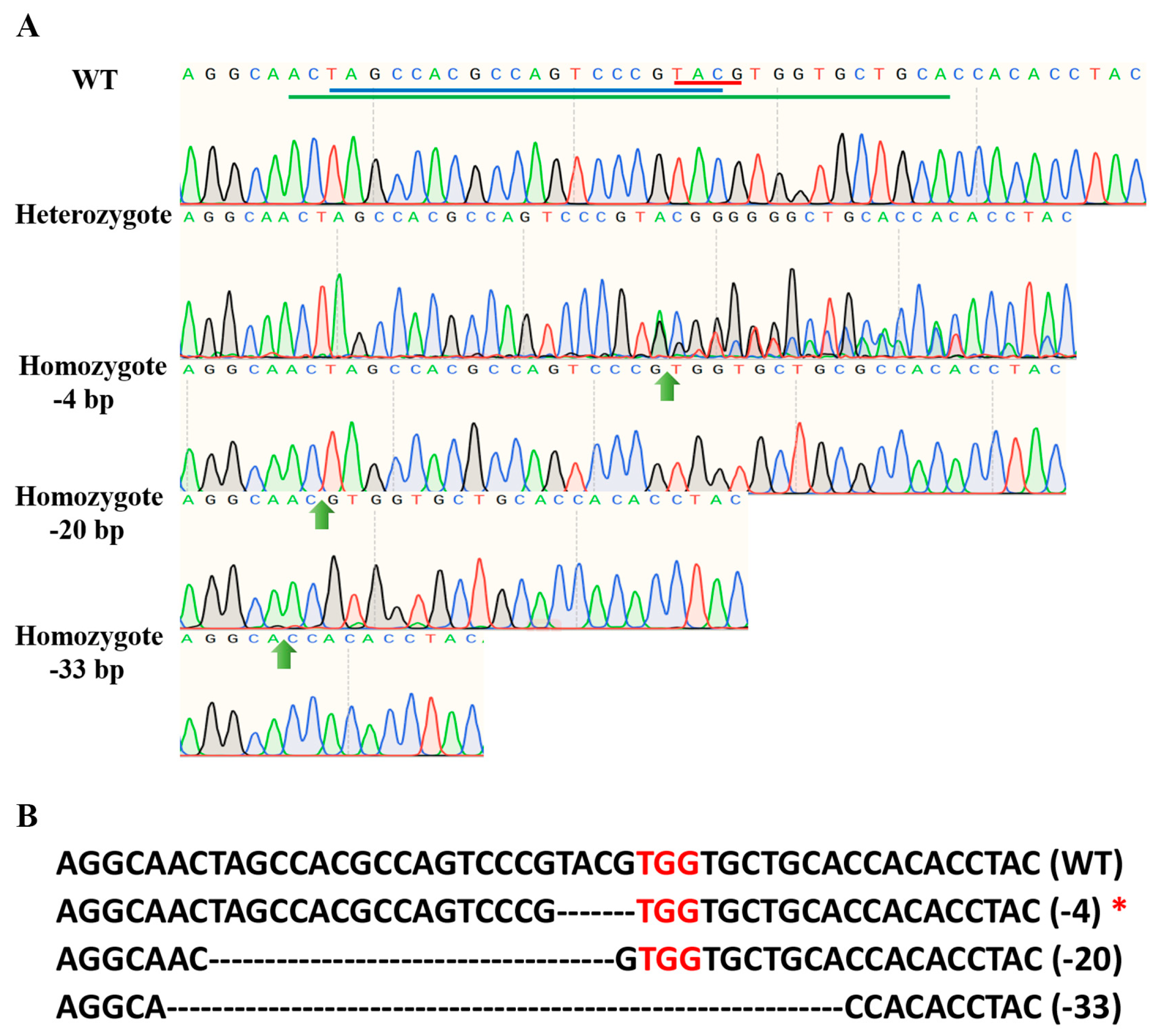 Agronomy 15 01294 g002