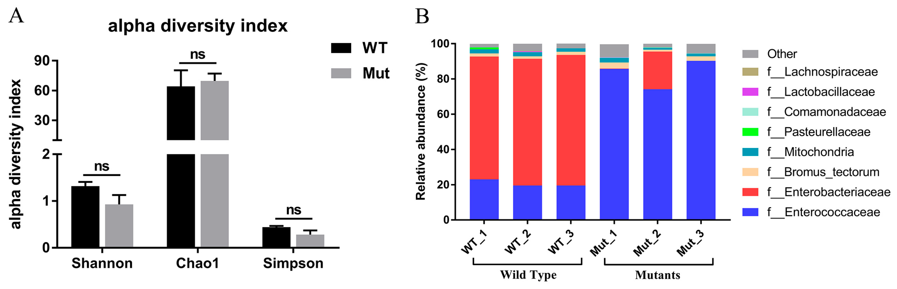 Agronomy 15 01294 g005