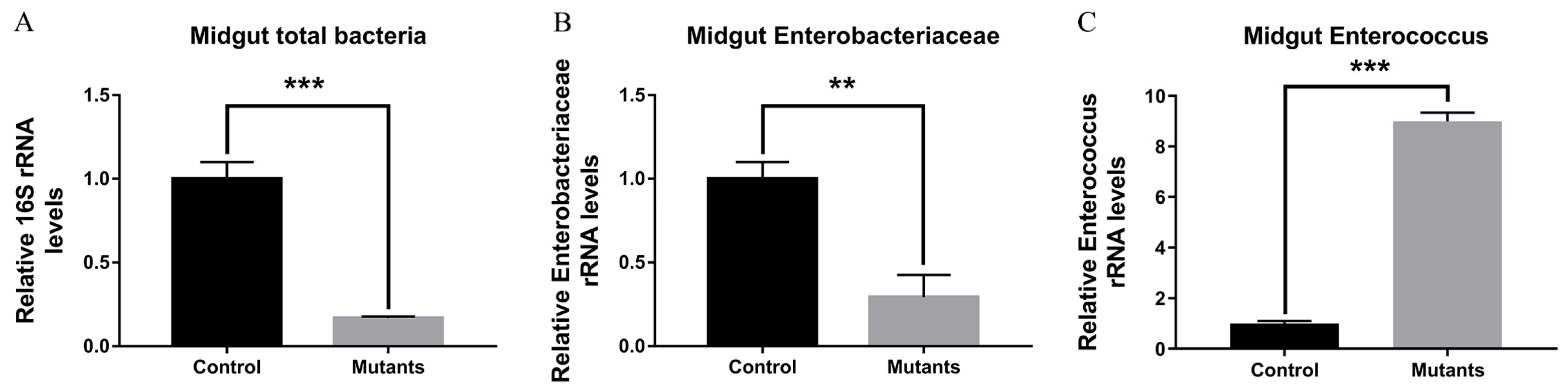 Agronomy 15 01294 g006