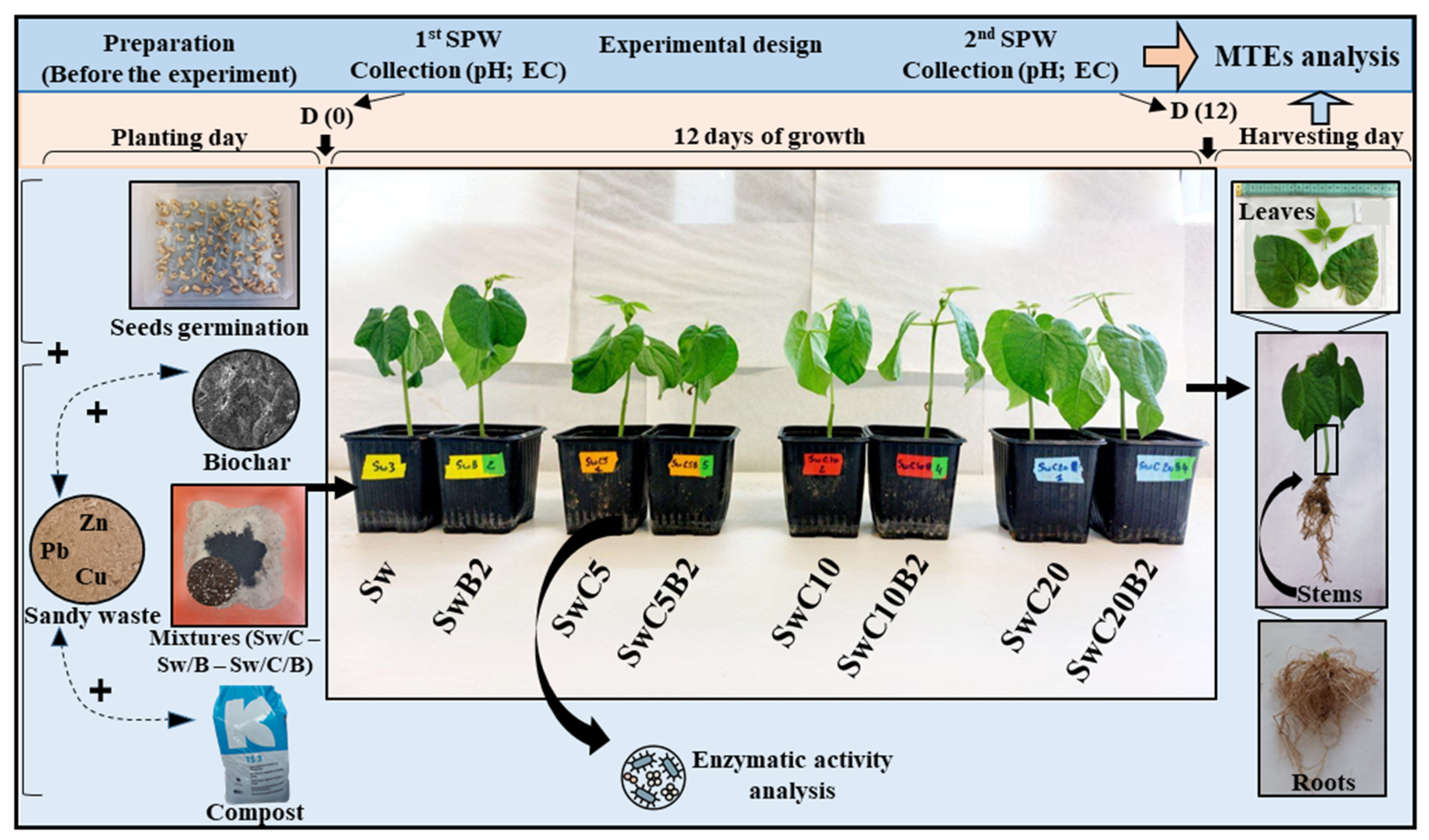 Agronomy 15 01295 g001