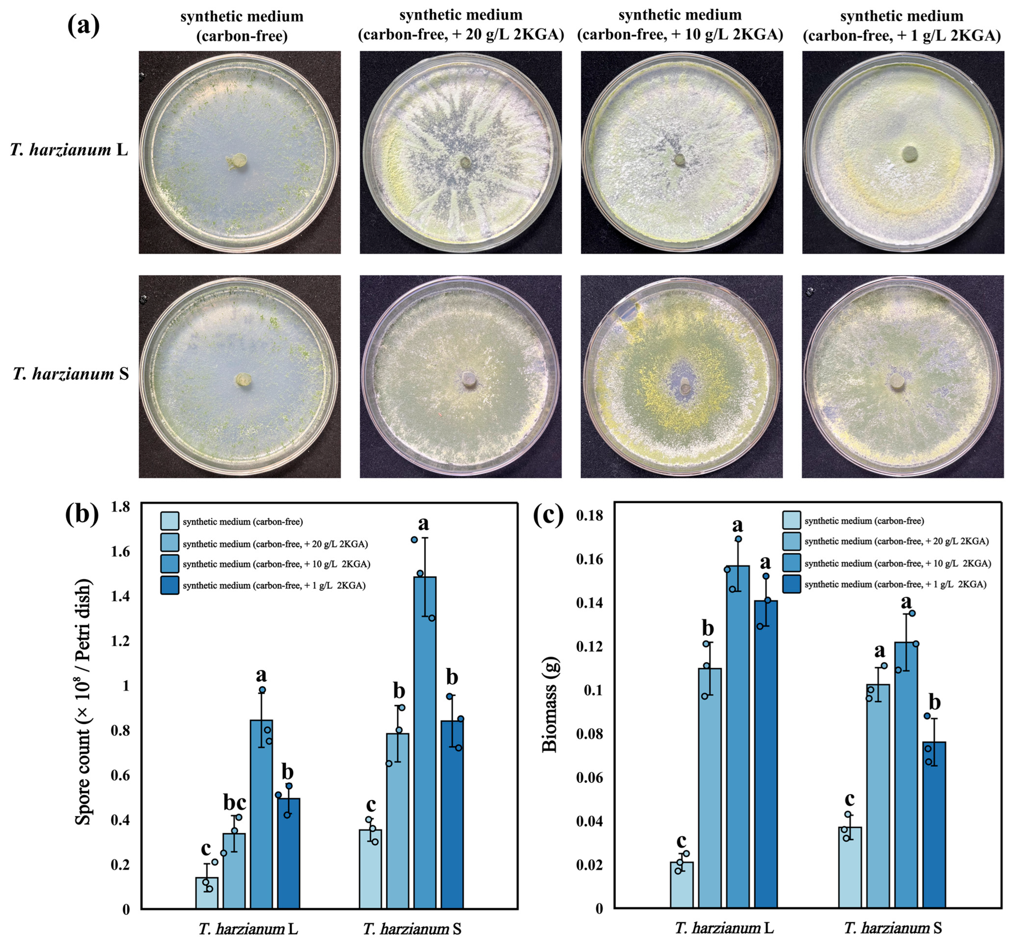 Agronomy 15 01298 g002